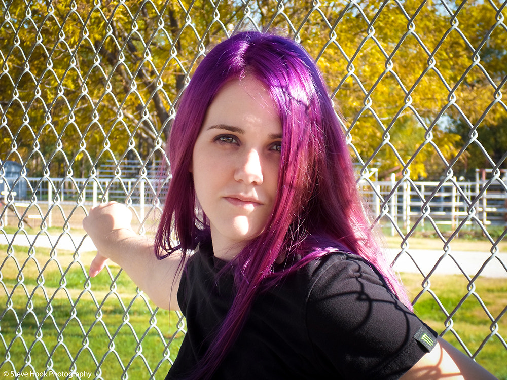Samsung ST66 / ST68 sample photo. Fence photography