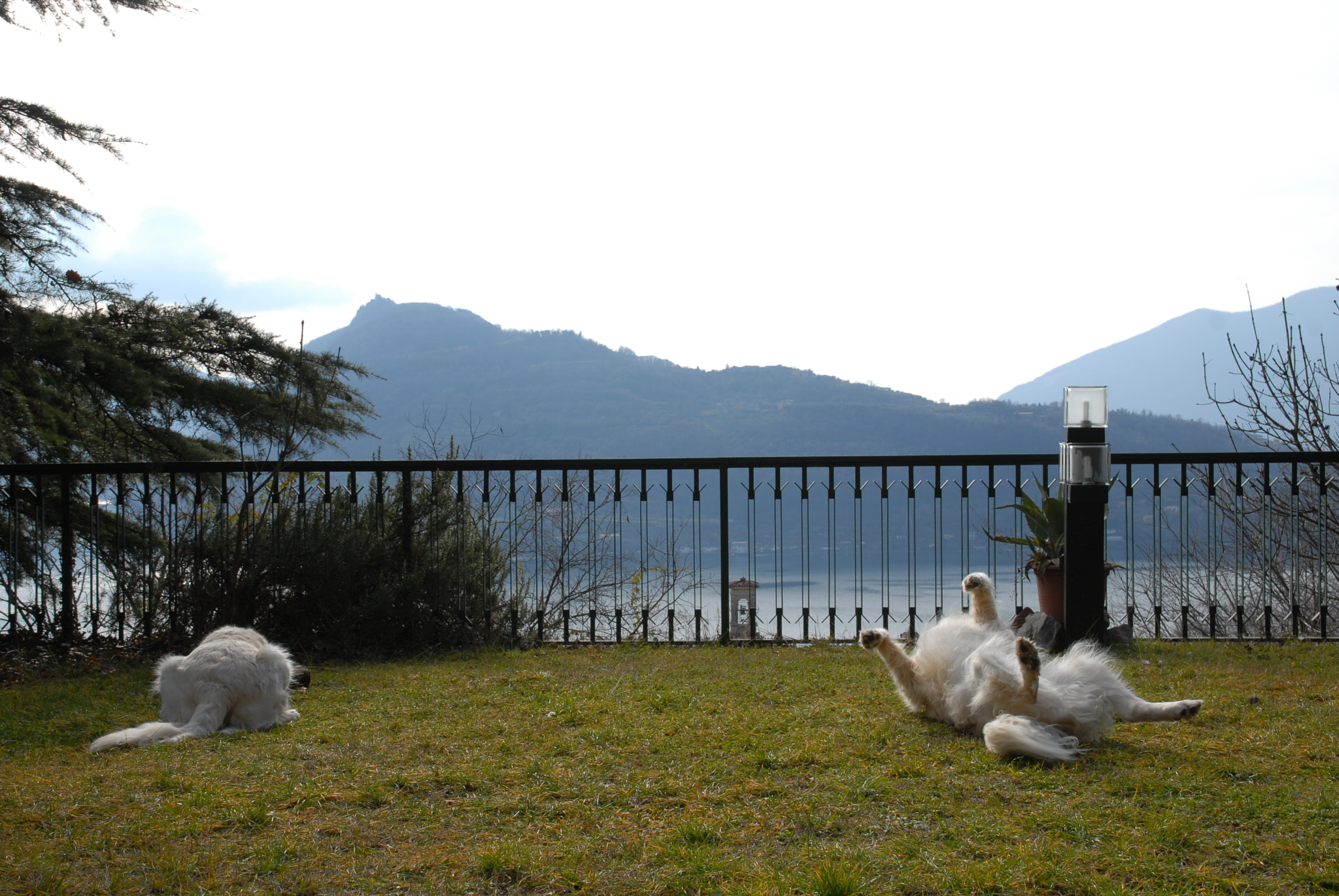 Nikon D200 sample photo. Chill down photography