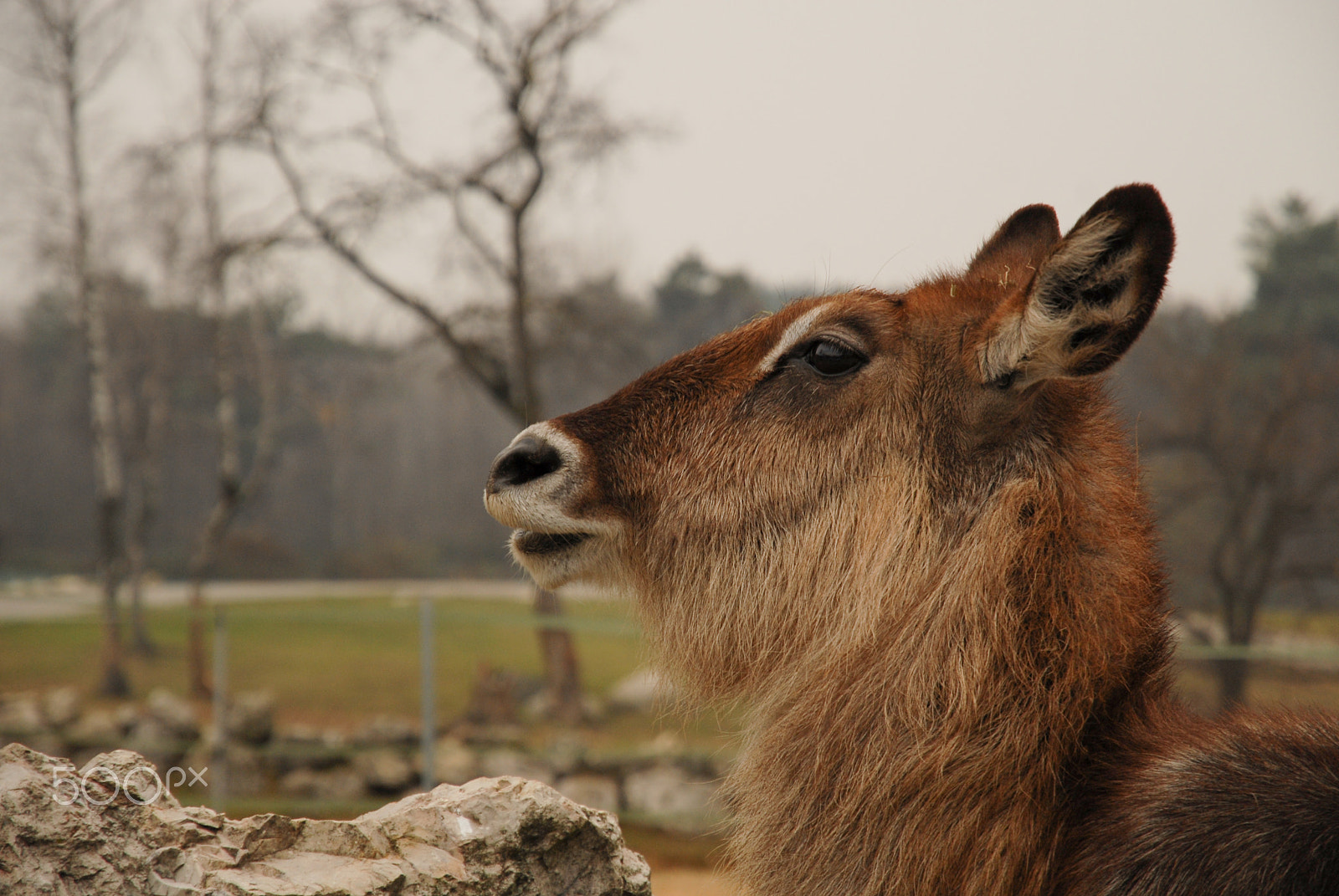 Nikon D200 sample photo. Thoughtless photography