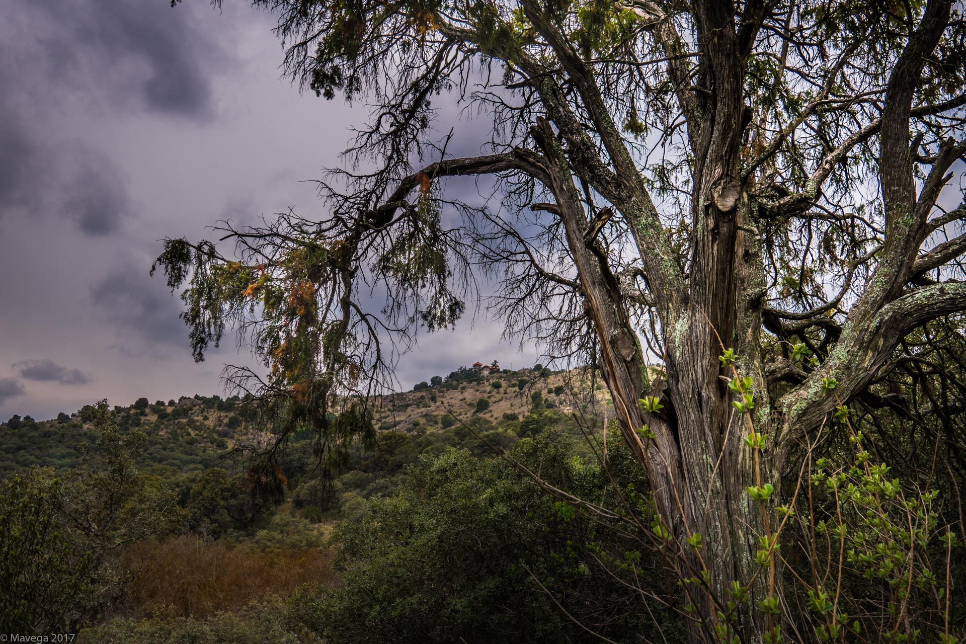 Sony a6300 + Sigma 19mm F2.8 EX DN sample photo. Following the path photography