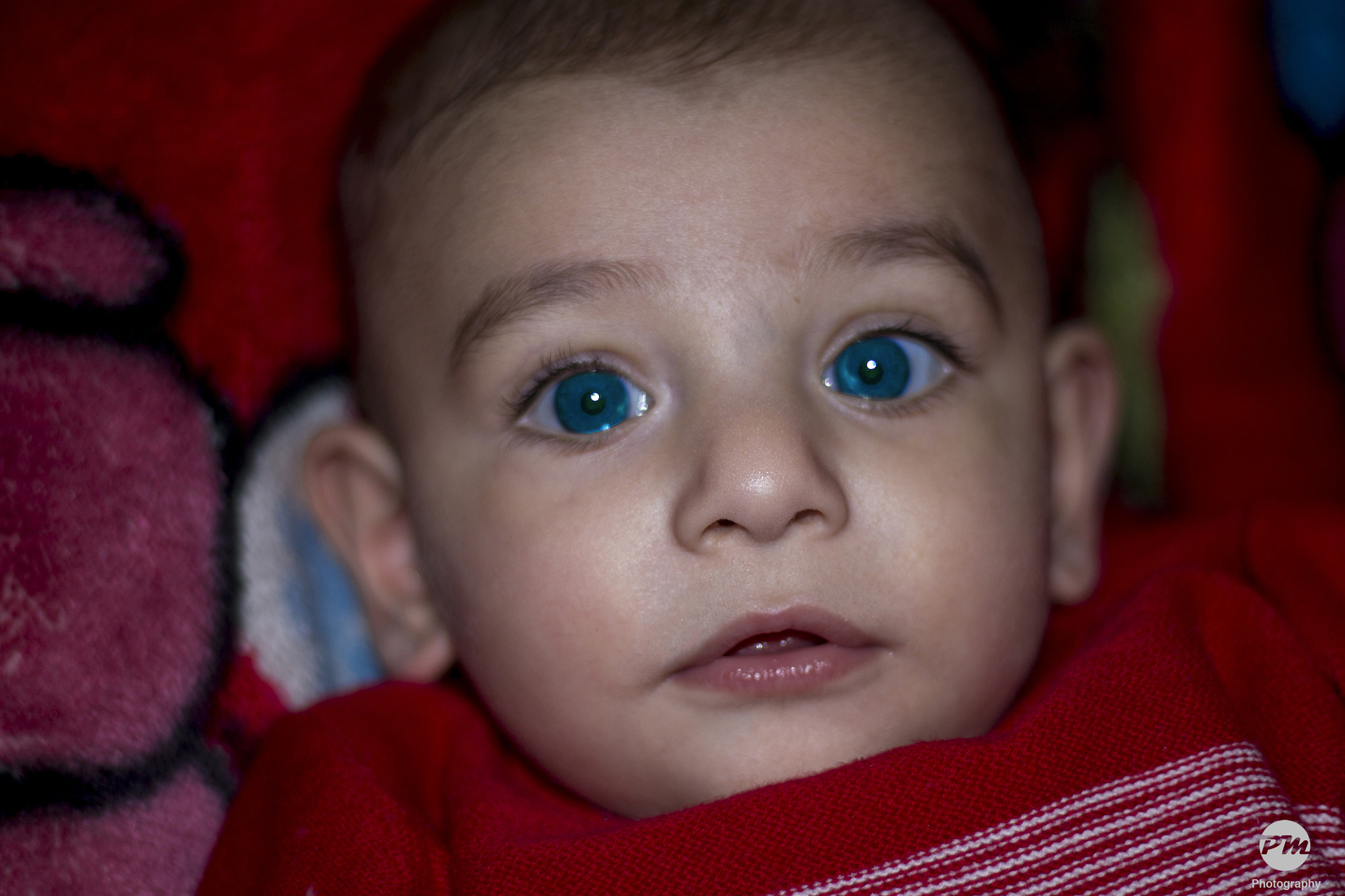Canon EOS 1100D (EOS Rebel T3 / EOS Kiss X50) sample photo. Eyes of diamond. photography