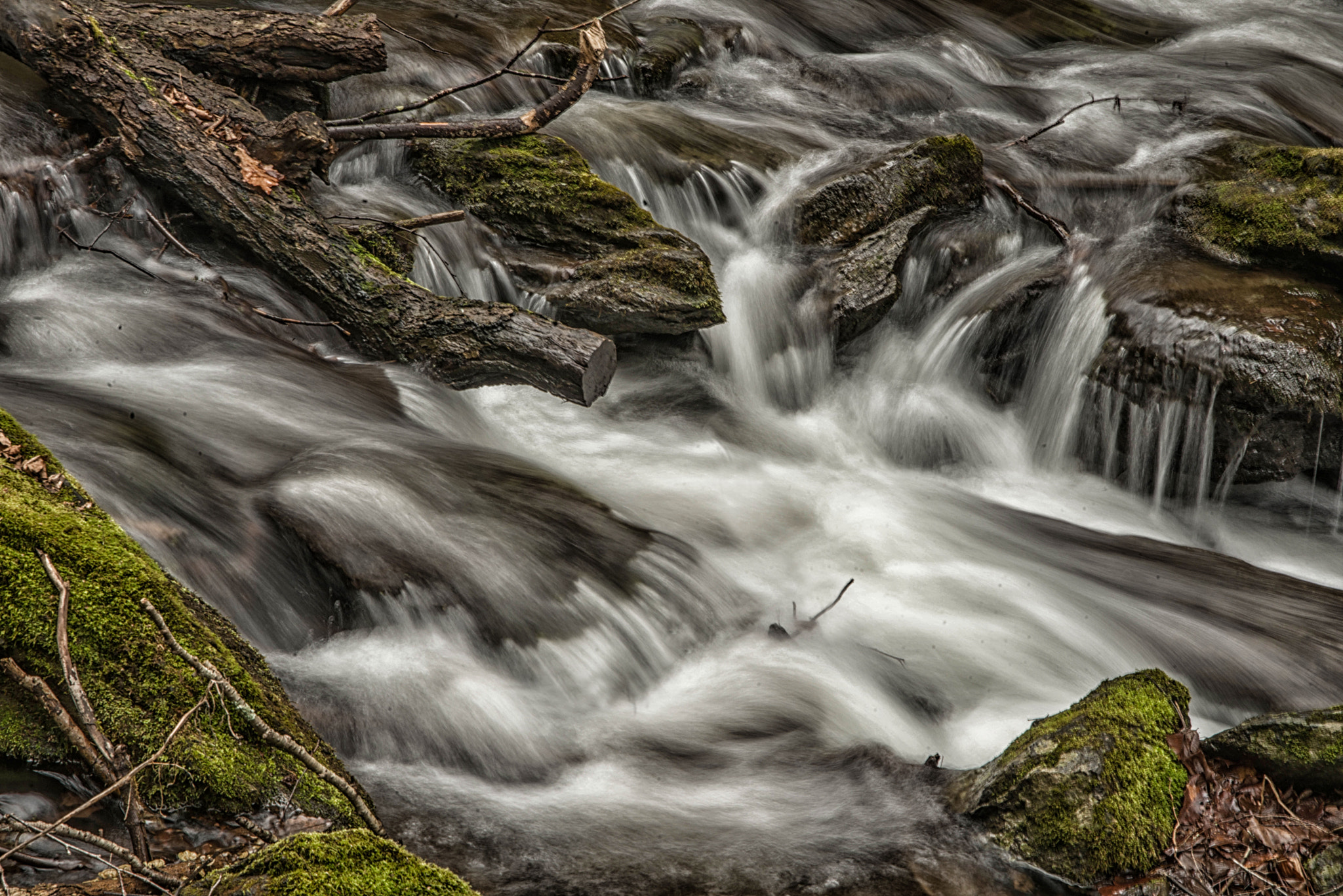 Nikon D800 + AF Zoom-Nikkor 24-120mm f/3.5-5.6D IF sample photo. Mng photography