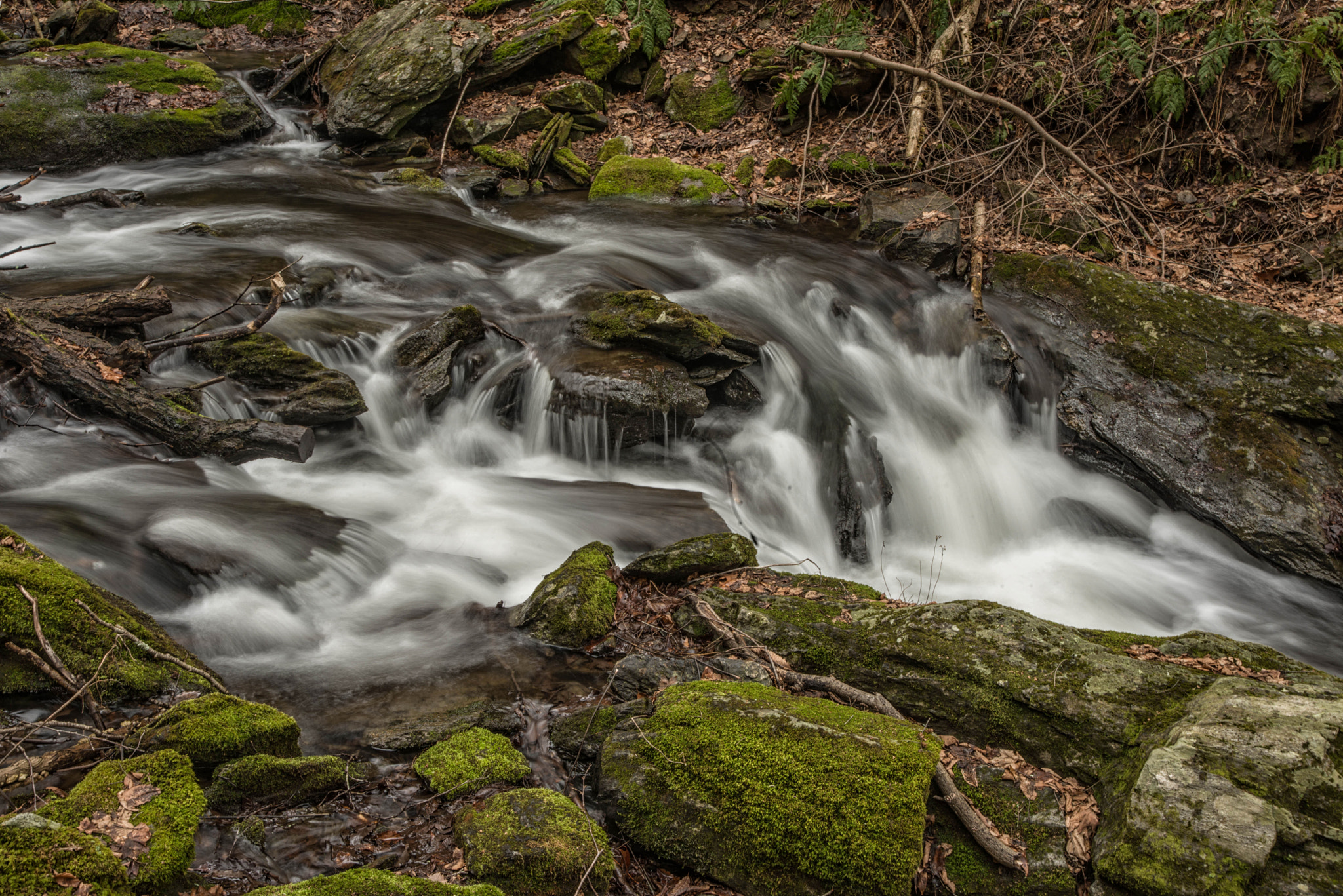 Nikon D800 + AF Zoom-Nikkor 24-120mm f/3.5-5.6D IF sample photo. Mng photography