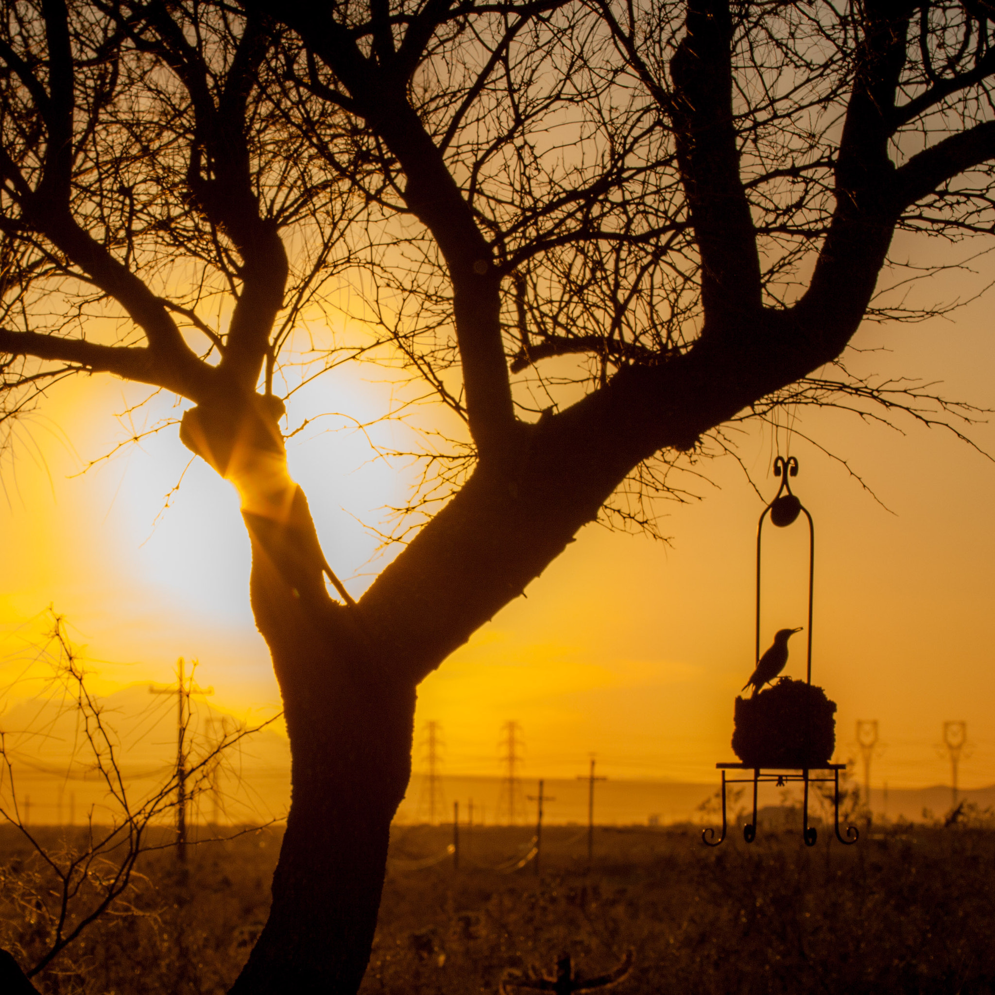 Canon EF 100-400mm F4.5-5.6L IS USM sample photo. Tucson sunset photography