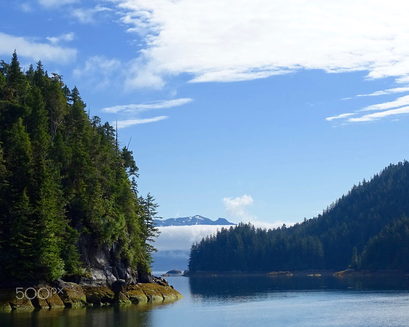Sony 24-210mm F2.8-6.3 sample photo. Forest and blue sky, baranof island photography