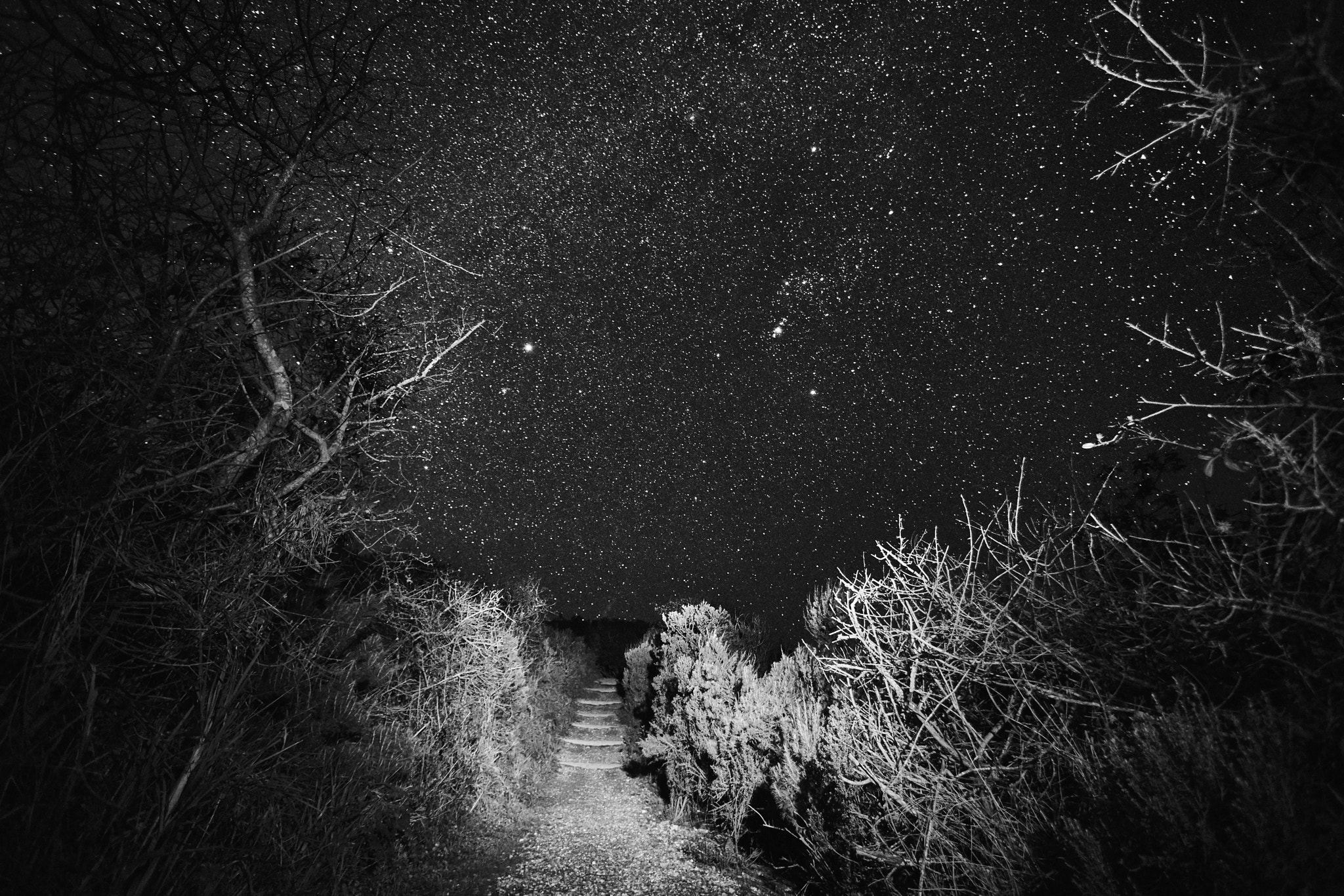 Canon EF 17-40mm F4L USM sample photo. Starry trails photography