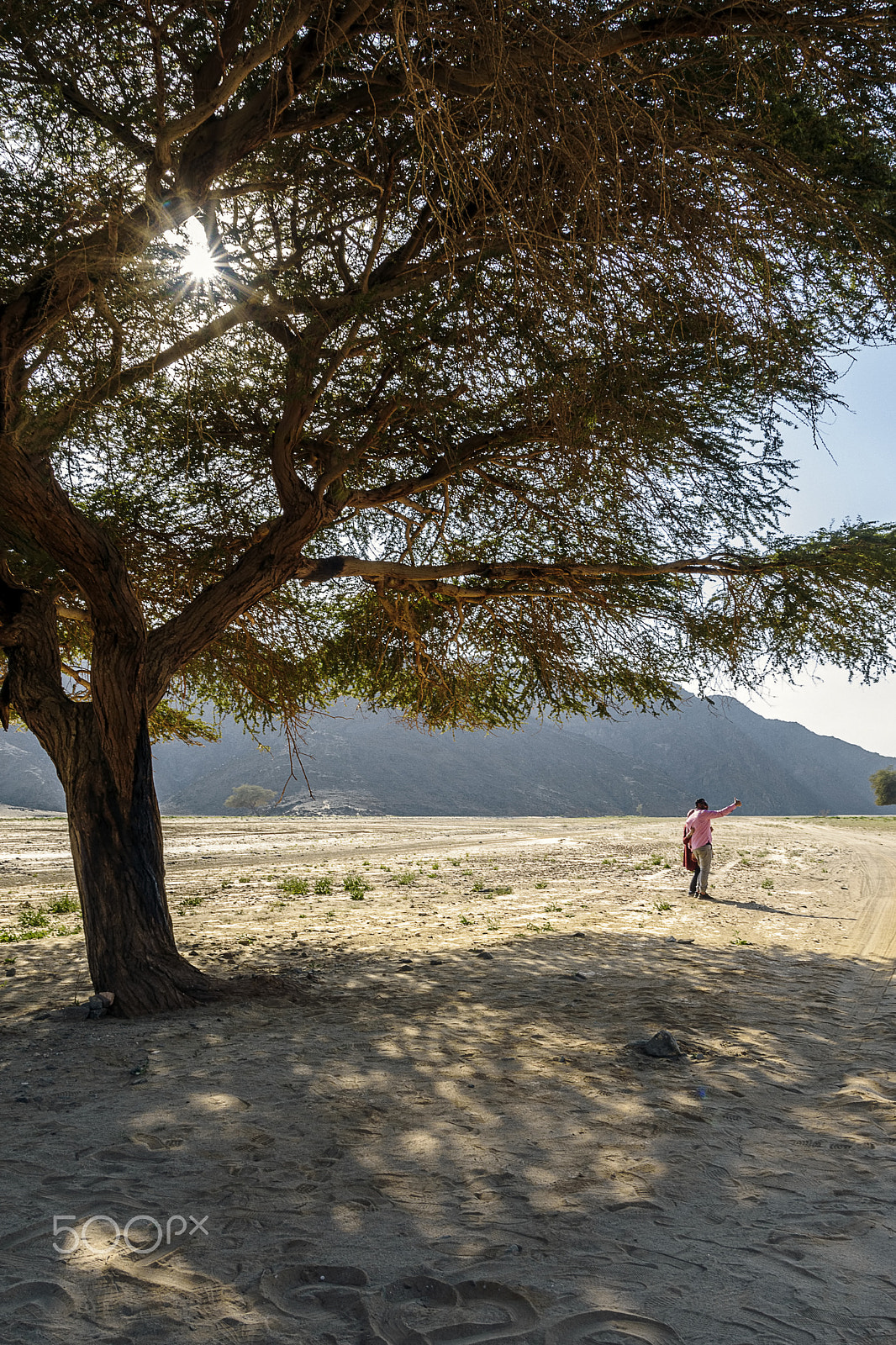 Sigma 18-250mm F3.5-6.3 DC OS HSM sample photo. Selfie with huge acacia tree the desert umbrella photography
