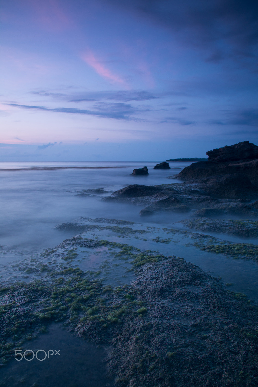 Sigma 28-300mm F3.5-6.3 DG Macro sample photo. Marine art photography