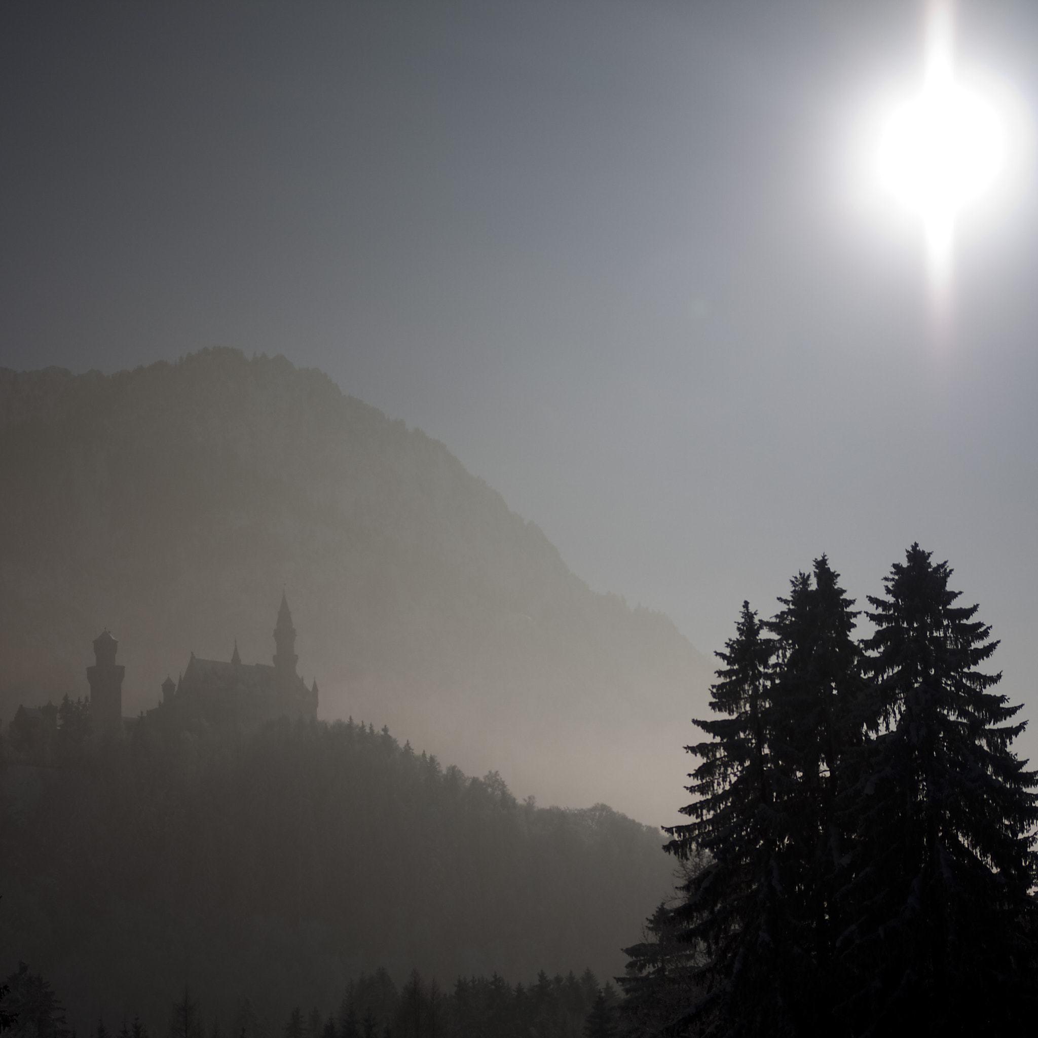 Canon EOS 40D sample photo. Winter photography