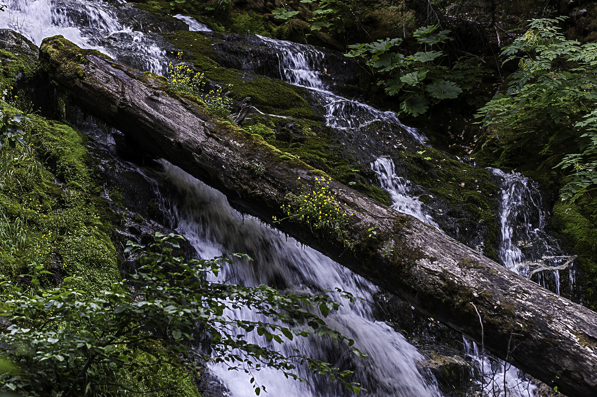 Sony Alpha DSLR-A350 + 70-200mm F2.8 sample photo. Whiskeytown falls photography