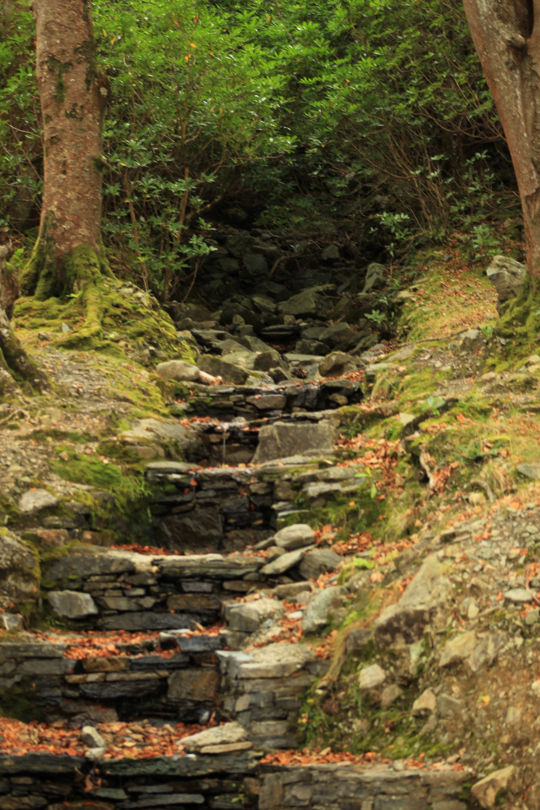 EF75-300mm f/4-5.6 sample photo