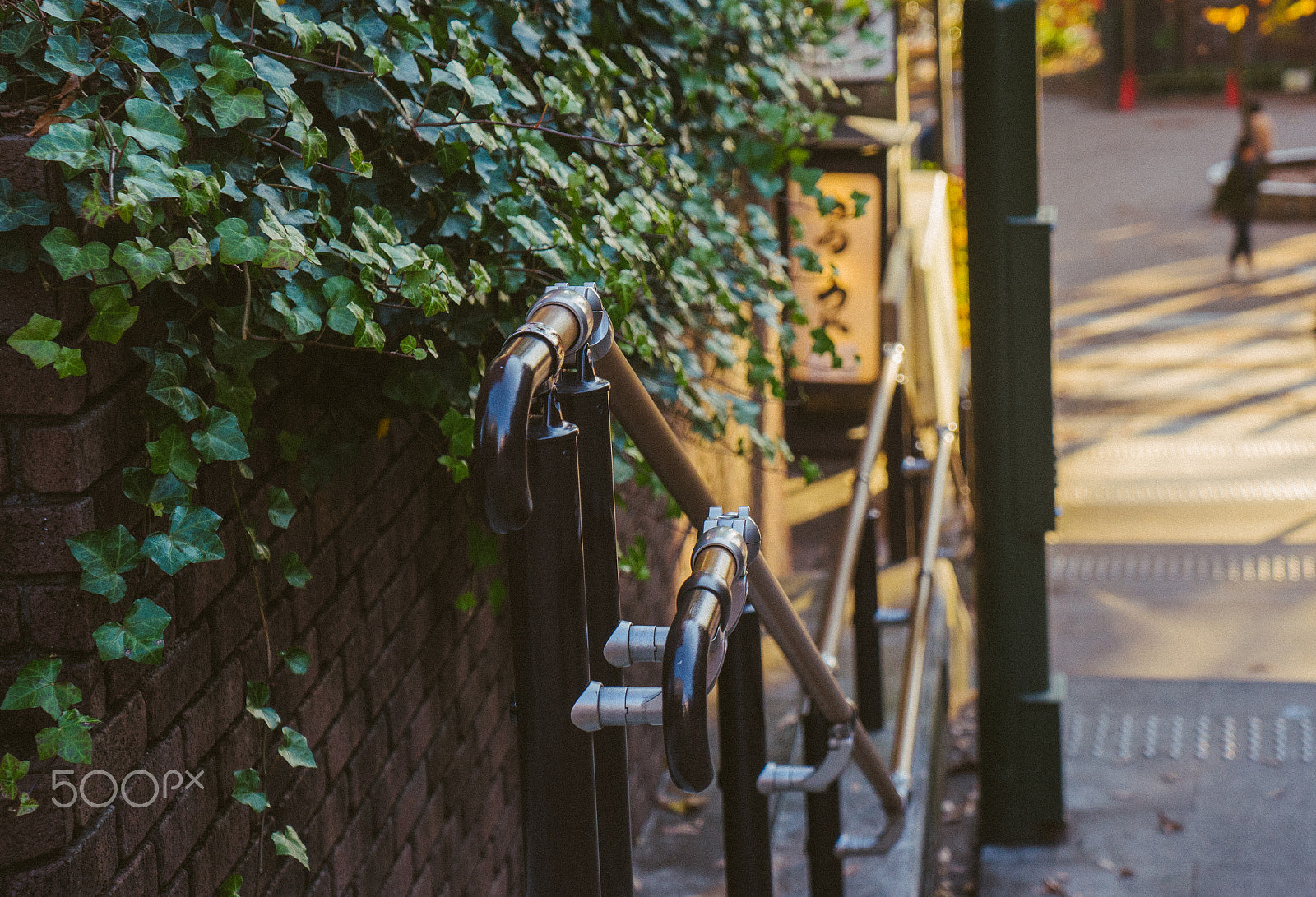 Sony a7 + Sony Vario Tessar T* FE 24-70mm F4 ZA OSS sample photo. 栏杆旁的绿色 photography