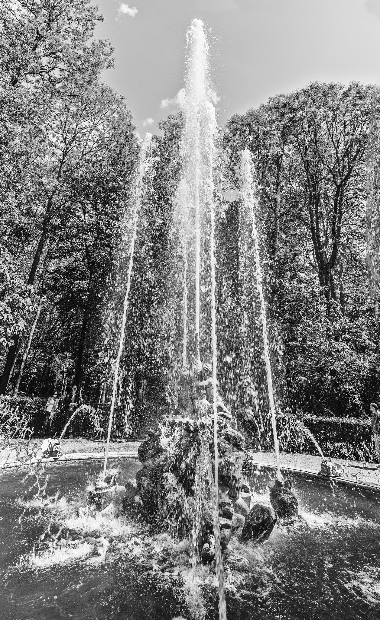 Swan Fountain