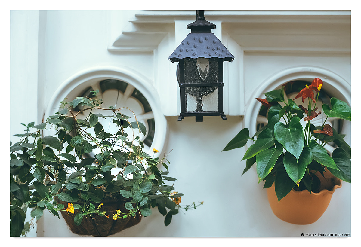 Fujifilm X-E2 + Fujifilm XF 35mm F1.4 R sample photo