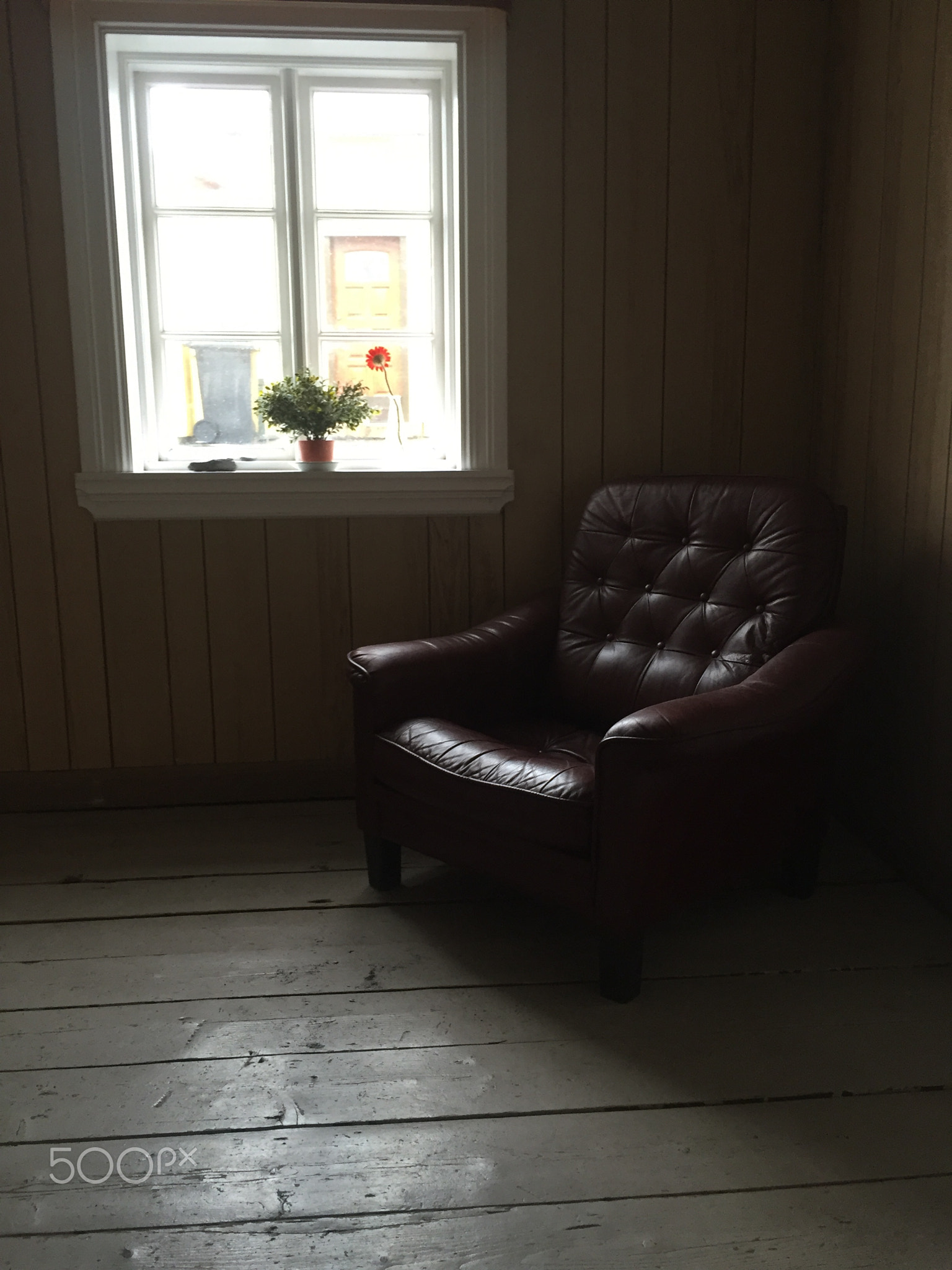 vintage leather armchair by window