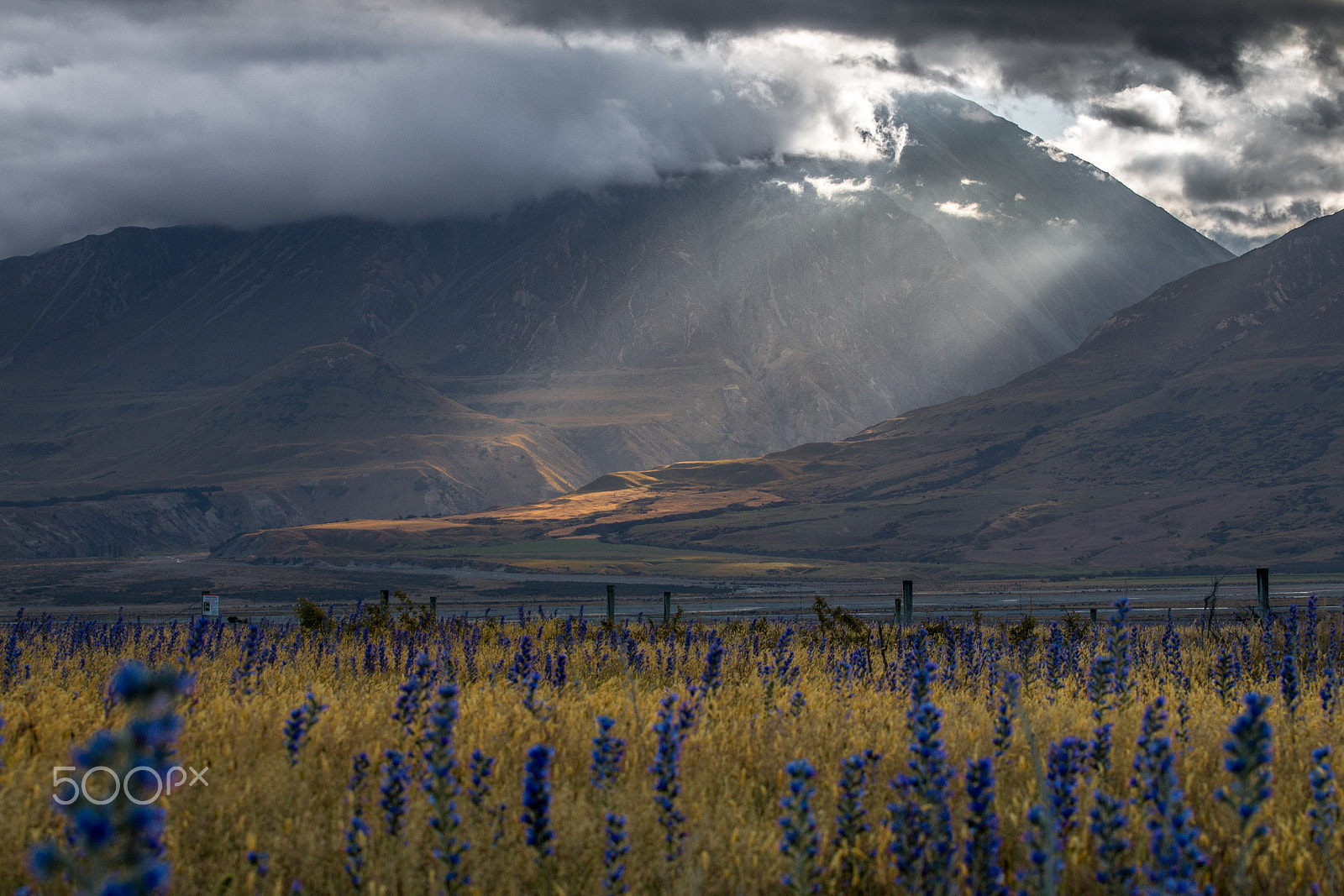 Canon EOS 70D + Canon EF 70-200mm F4L USM sample photo. Deep's helm location in mt sunday, nz photography