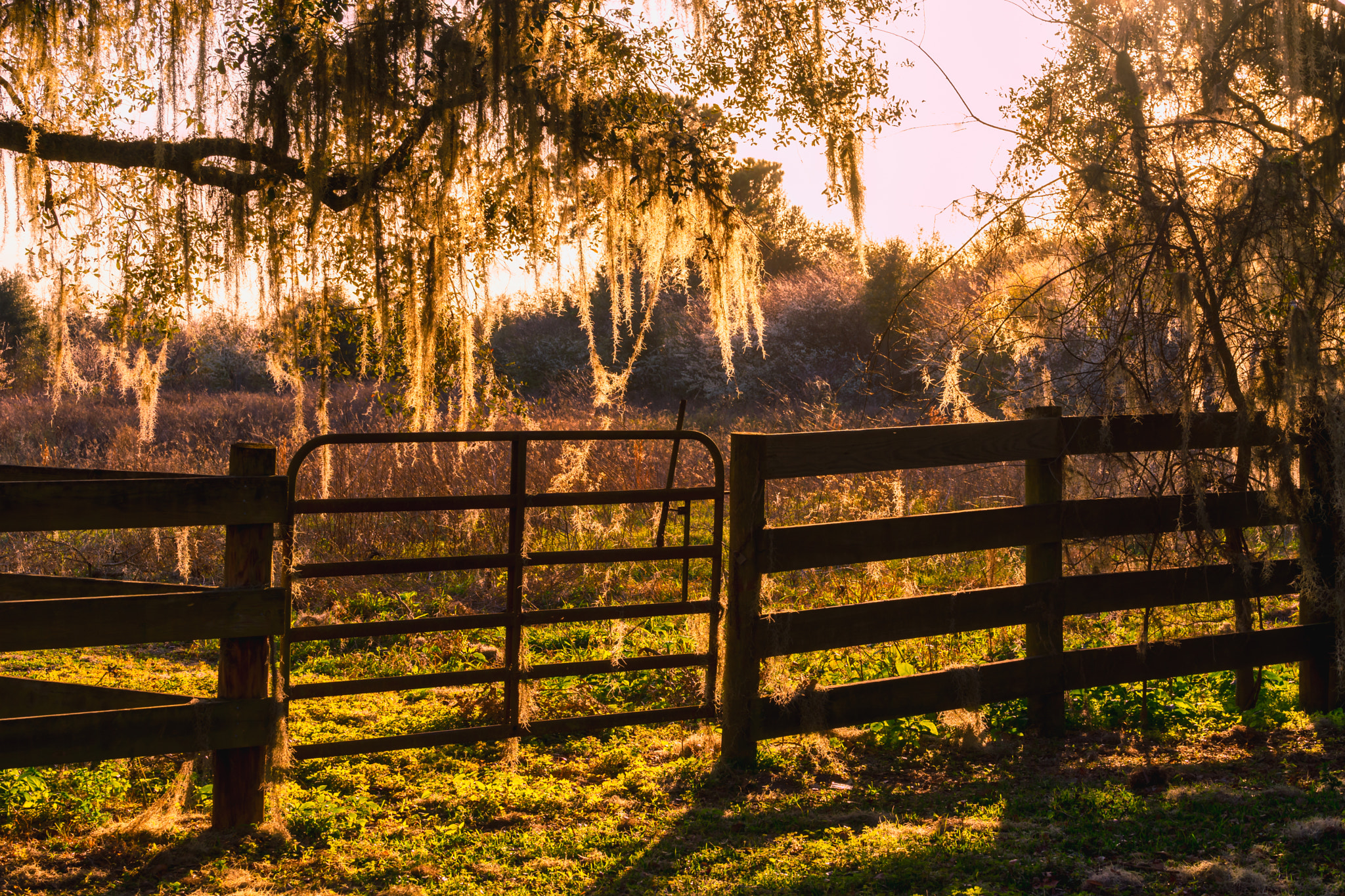 Sony FE 70-300mm F4.5-5.6 G OSS sample photo. Fence photography