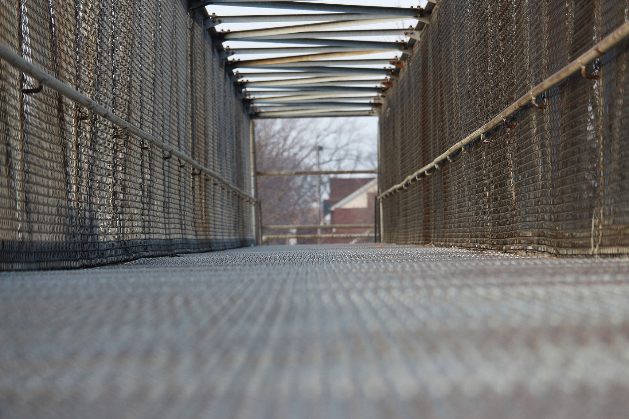 Canon EF-S 55-250mm F4-5.6 IS STM sample photo. Dpp photography