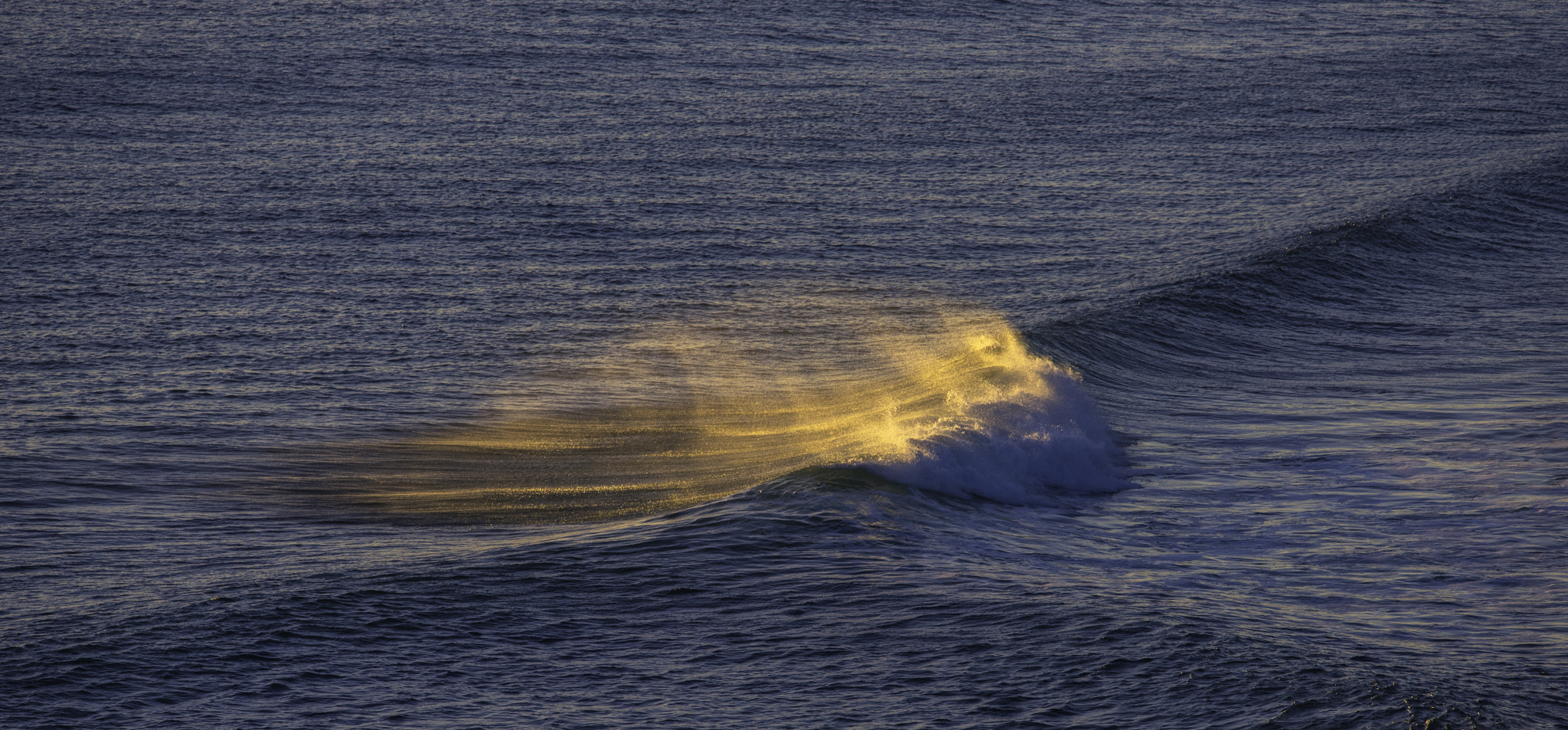 Nikon Nikkor AF-S 300mm F4E PF ED VR sample photo. Golden wave photography
