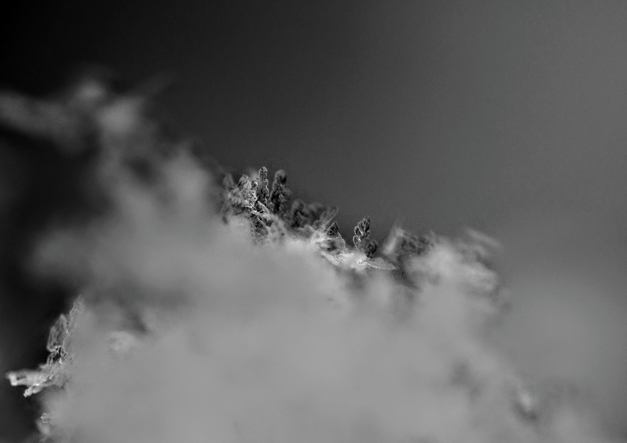 Canon EF 100mm F2.8L Macro IS USM sample photo. Edges of snowflakes photography