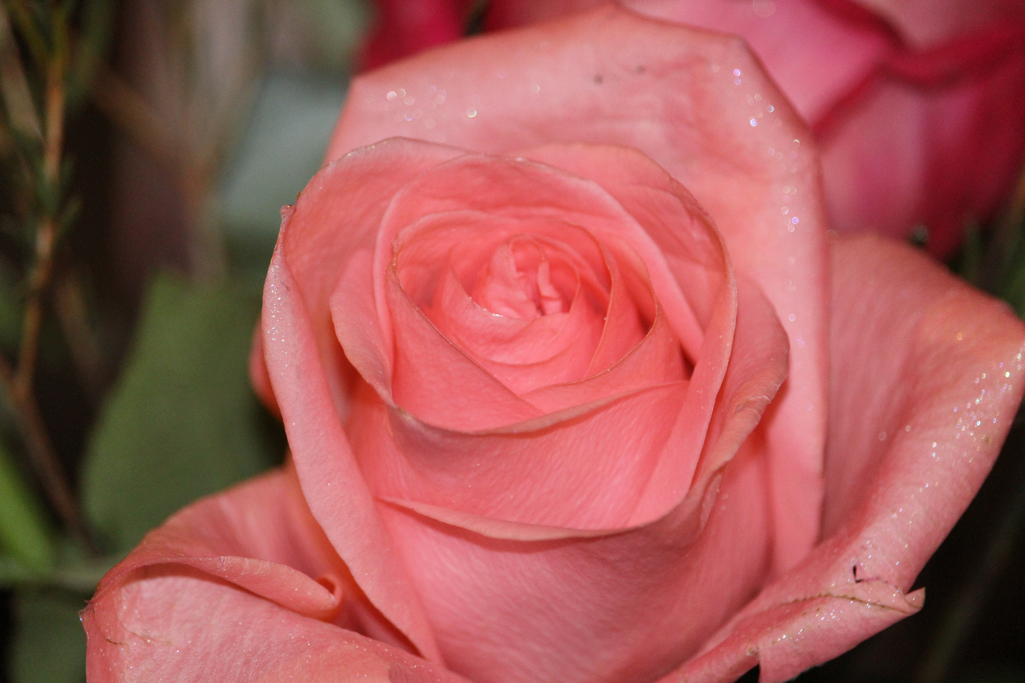 Canon EF-S 55-250mm F4-5.6 IS STM sample photo. 777.jpg photography
