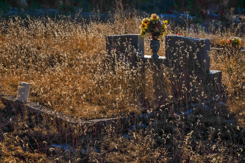 Fujifilm XC 16-50mm F3.5-5.6 OIS sample photo. 12483559215.jpg photography