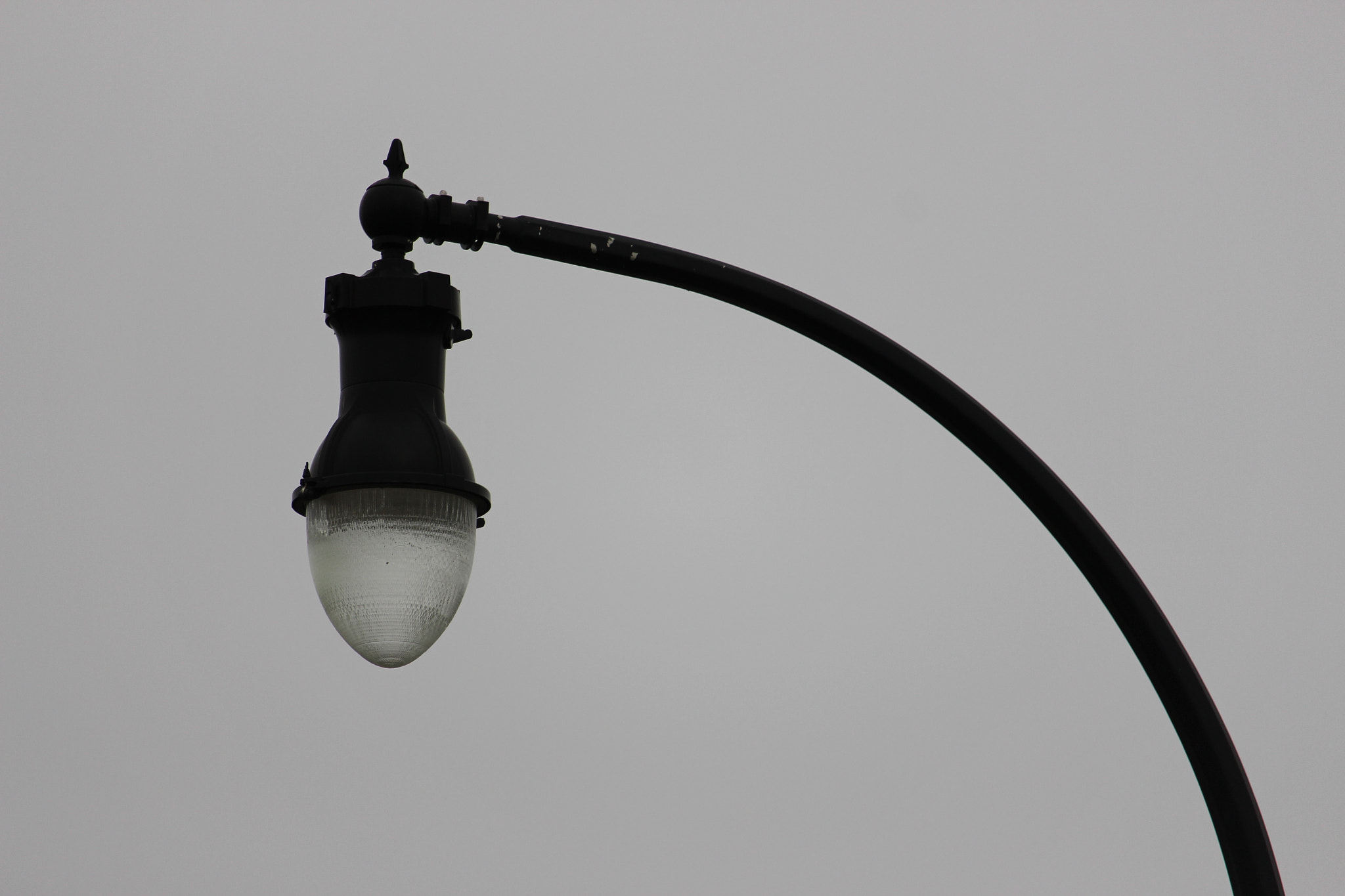 Canon EF-S 55-250mm F4-5.6 IS STM sample photo. 299.jpg photography