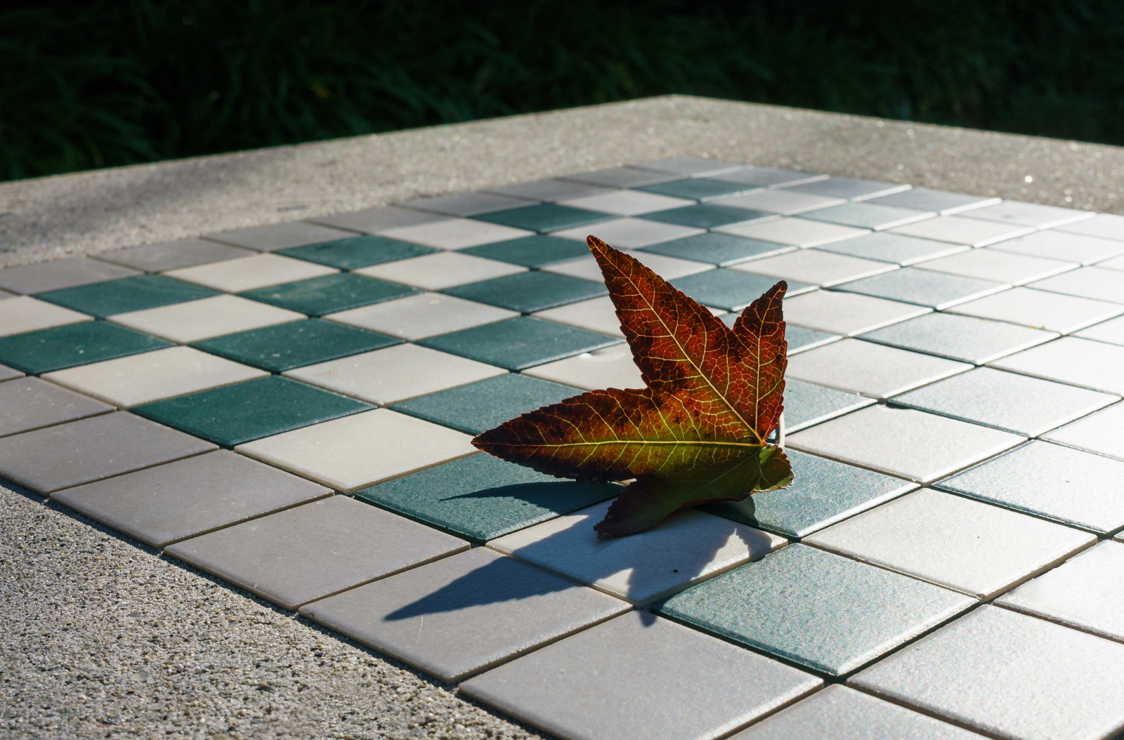 Sony a7R II + Sony FE 28mm F2 sample photo. Sf pi-day at yerba buena photography