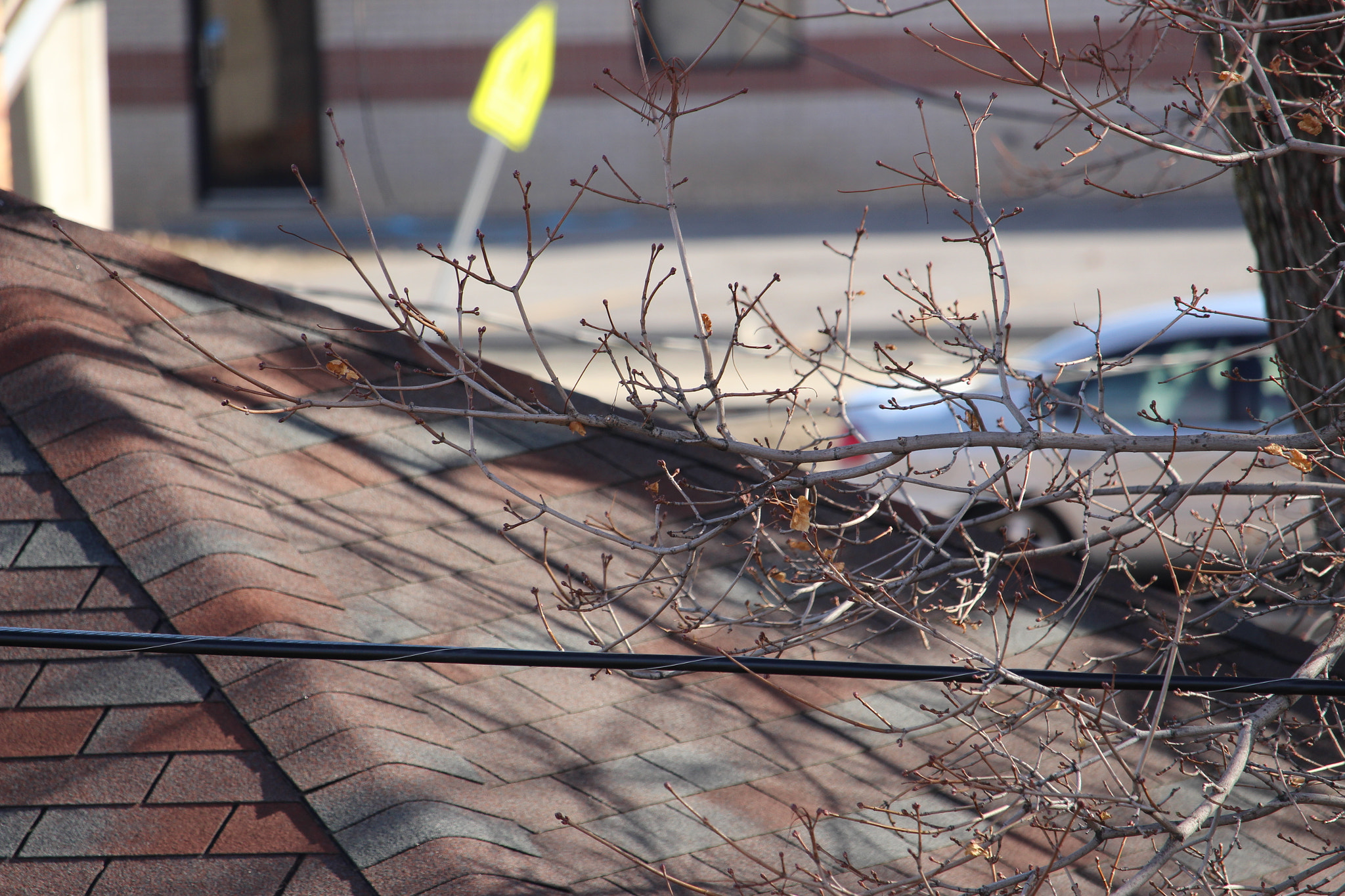 Canon EF-S 55-250mm F4-5.6 IS STM sample photo. 184.jpg photography