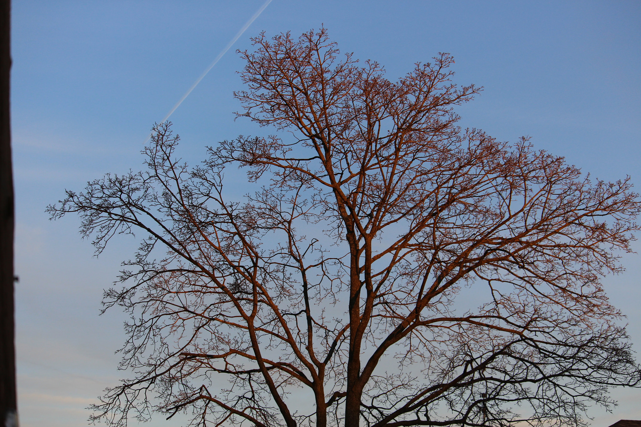 Canon EF-S 55-250mm F4-5.6 IS STM sample photo. 323.jpg photography