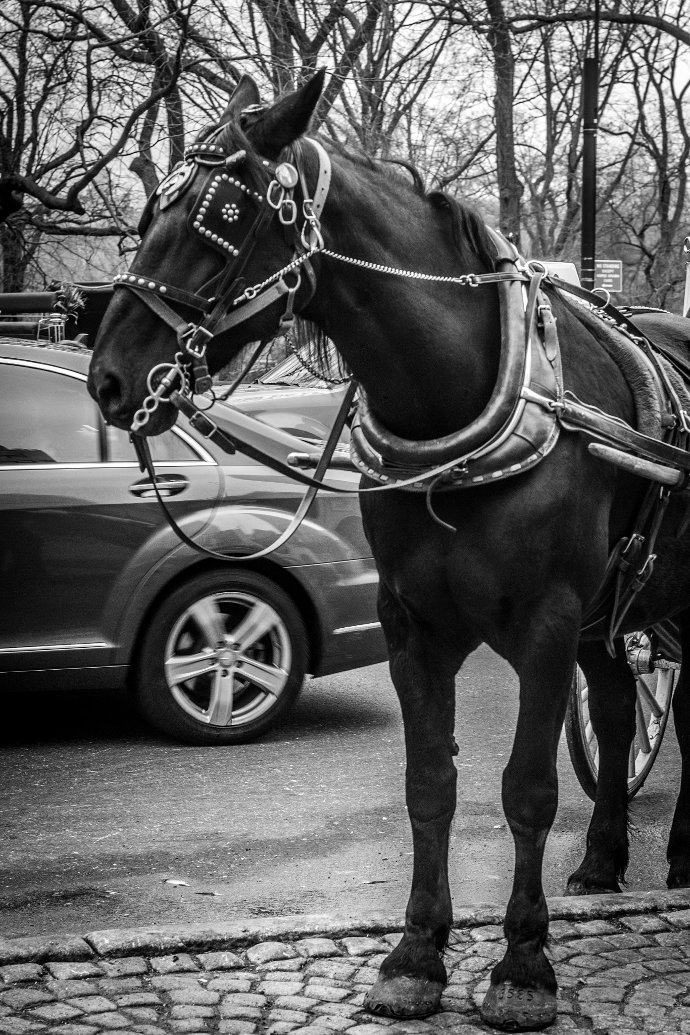 Canon EF 50mm F1.4 USM sample photo. New york, new york photography