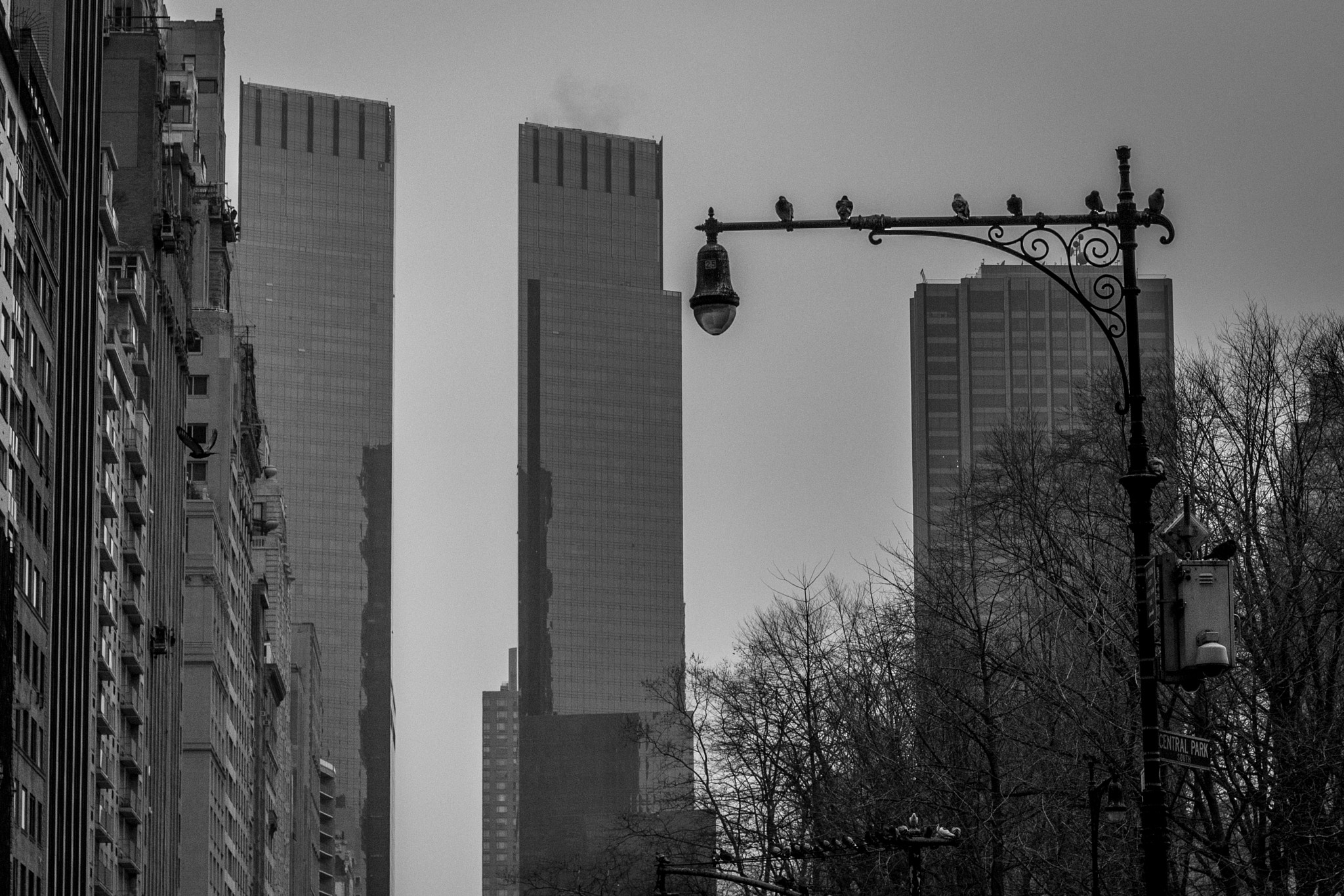 Canon EF 50mm F1.4 USM sample photo. New york, new york photography