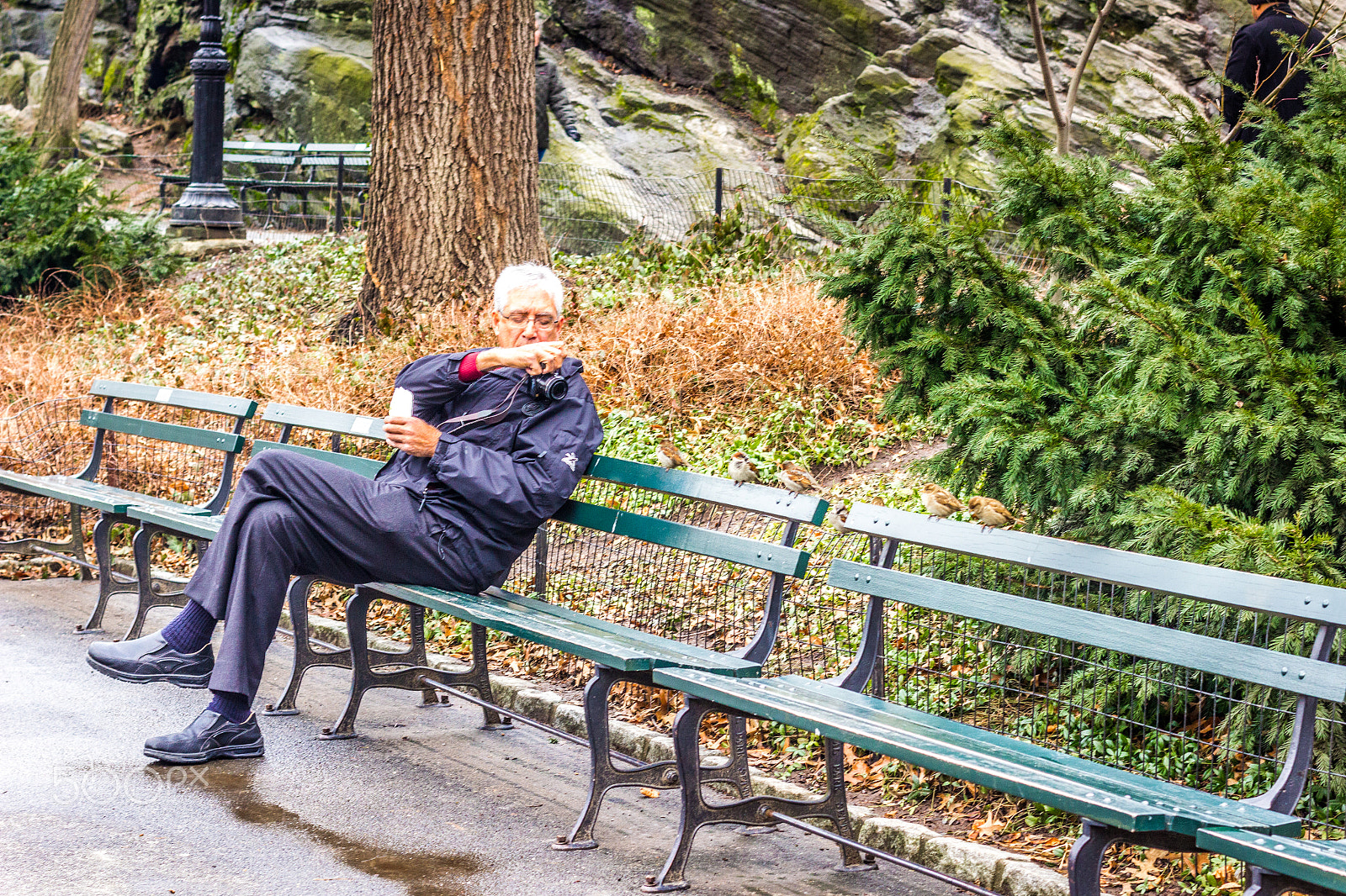 Canon EF 50mm F1.4 USM sample photo. New york, new york photography
