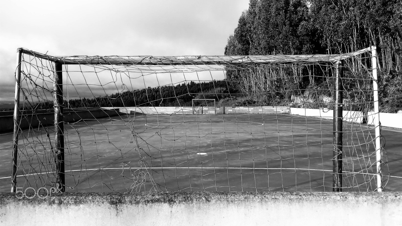 ASUS ZenFone Max (ZC550KL) sample photo. "the field" [8192 x 4608] photography