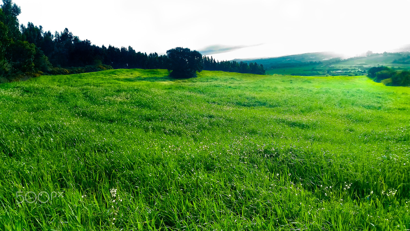 ASUS ZenFone Max (ZC550KL) sample photo. "green sea" [8192 x 4608] photography