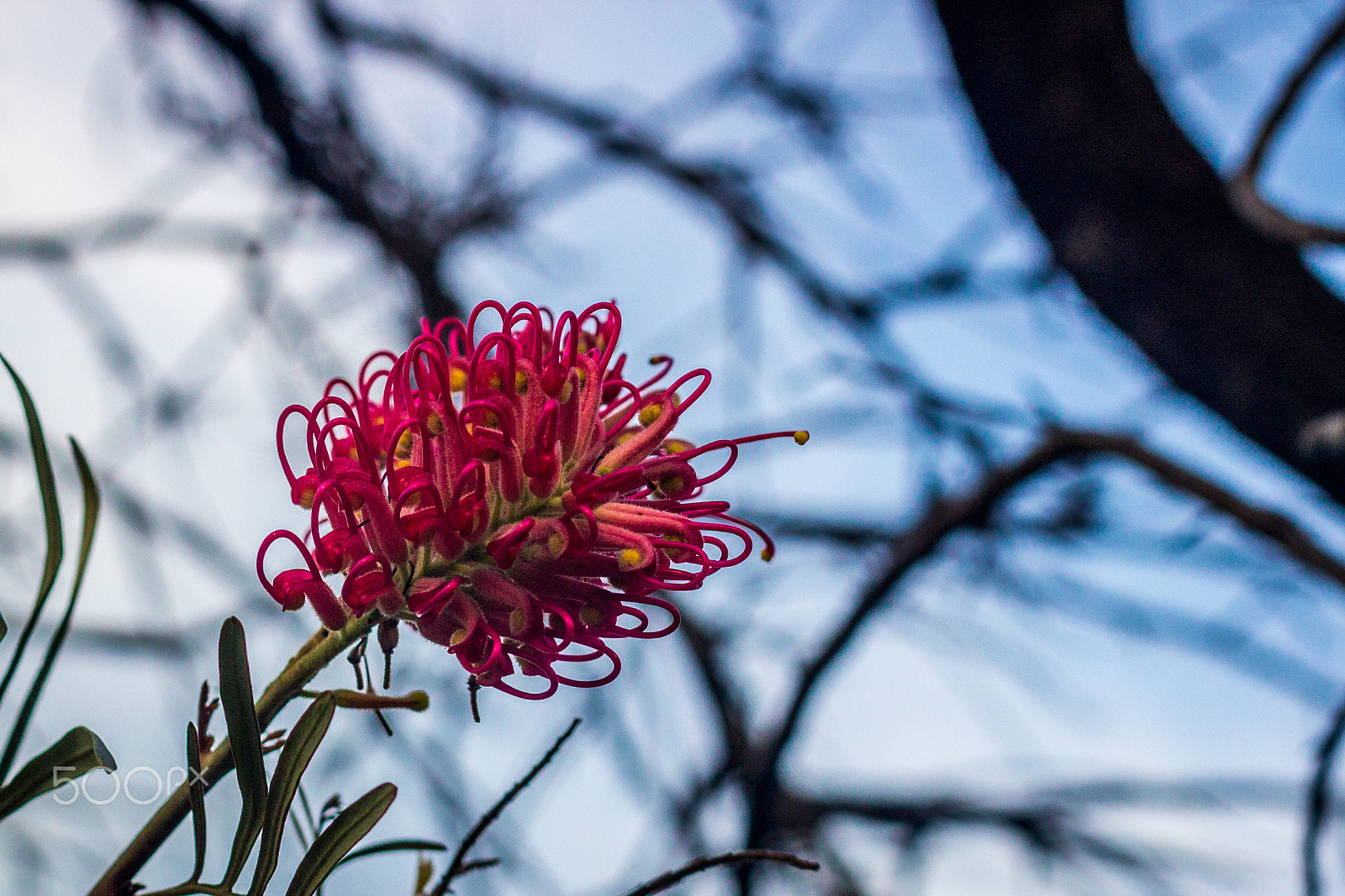 Canon EF 50mm F1.4 USM sample photo. Brasilia photography