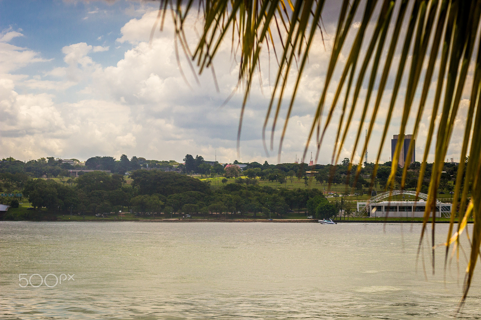 Canon EF 50mm F1.4 USM sample photo. Brasilia photography