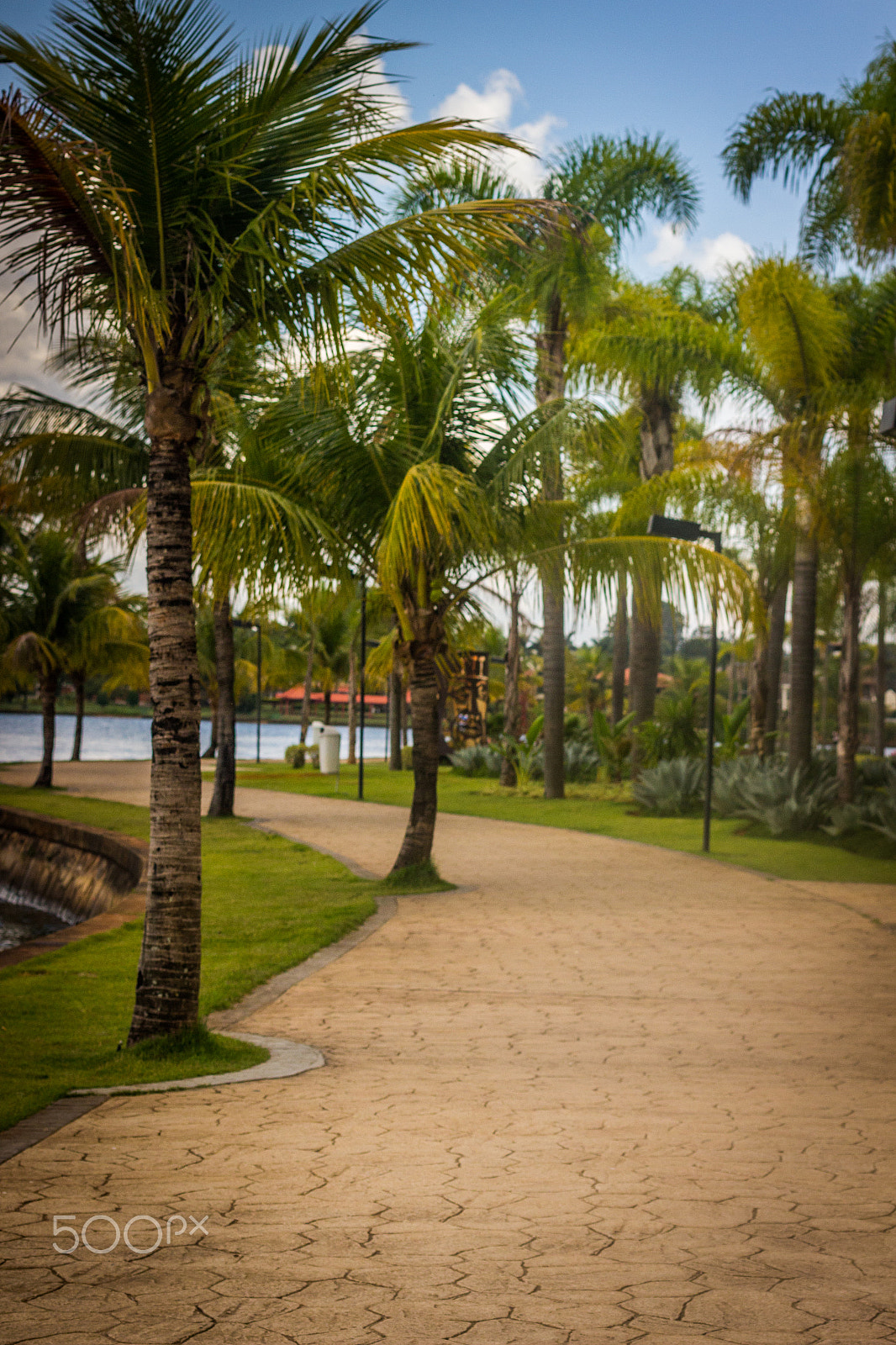 Canon EF 50mm F1.4 USM sample photo. Brasilia photography