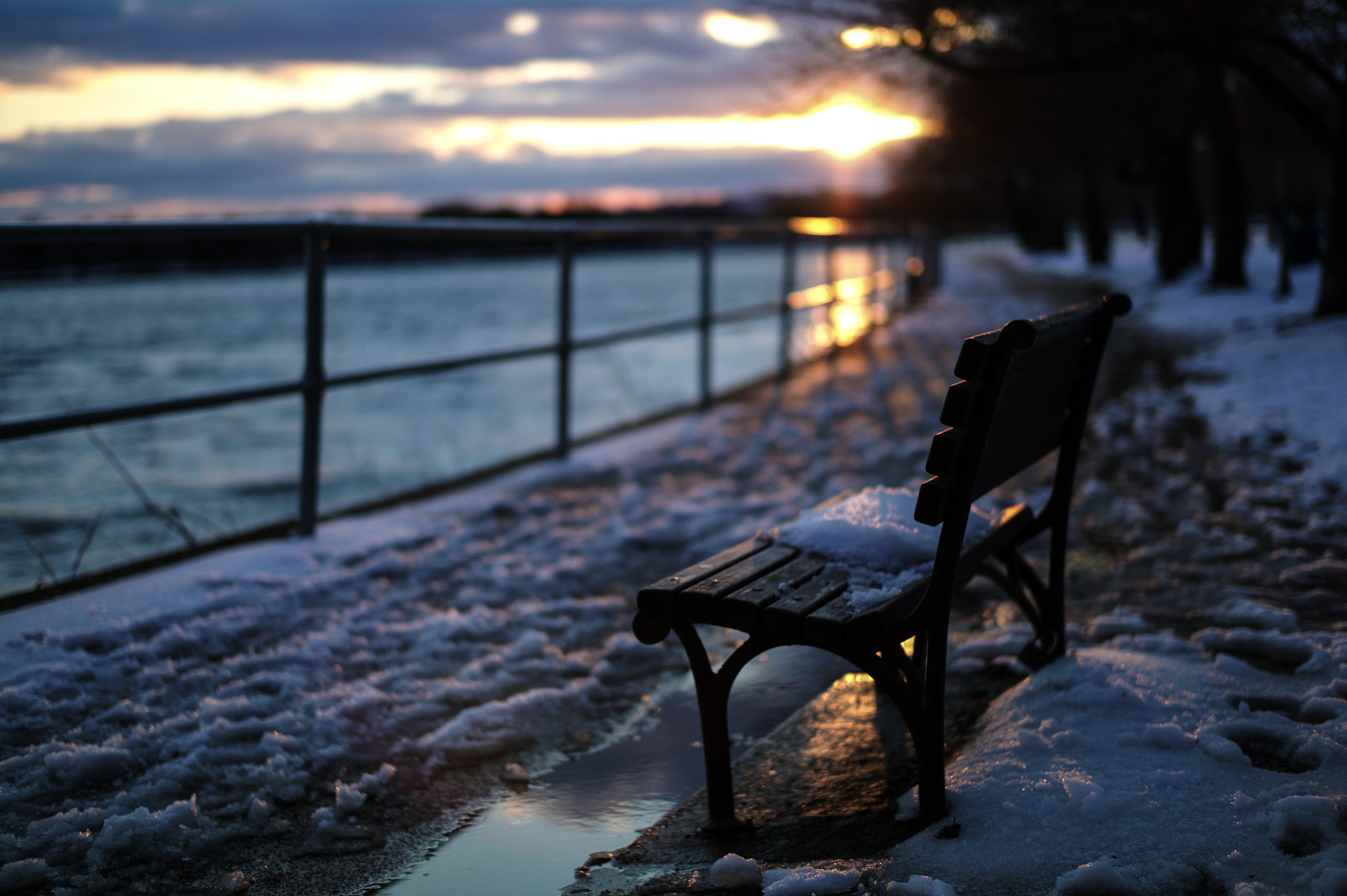 Leica M9 + Leica Summilux-M 50mm F1.4 ASPH sample photo. Golden photography