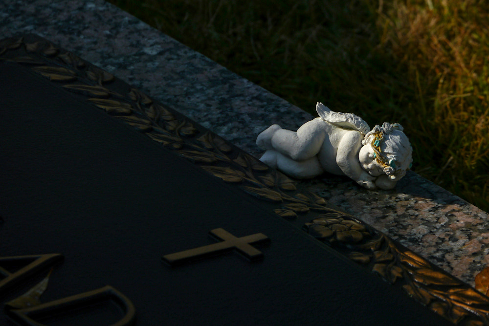 Panasonic Lumix DMC-G5 sample photo. 8906455879.jpg photography