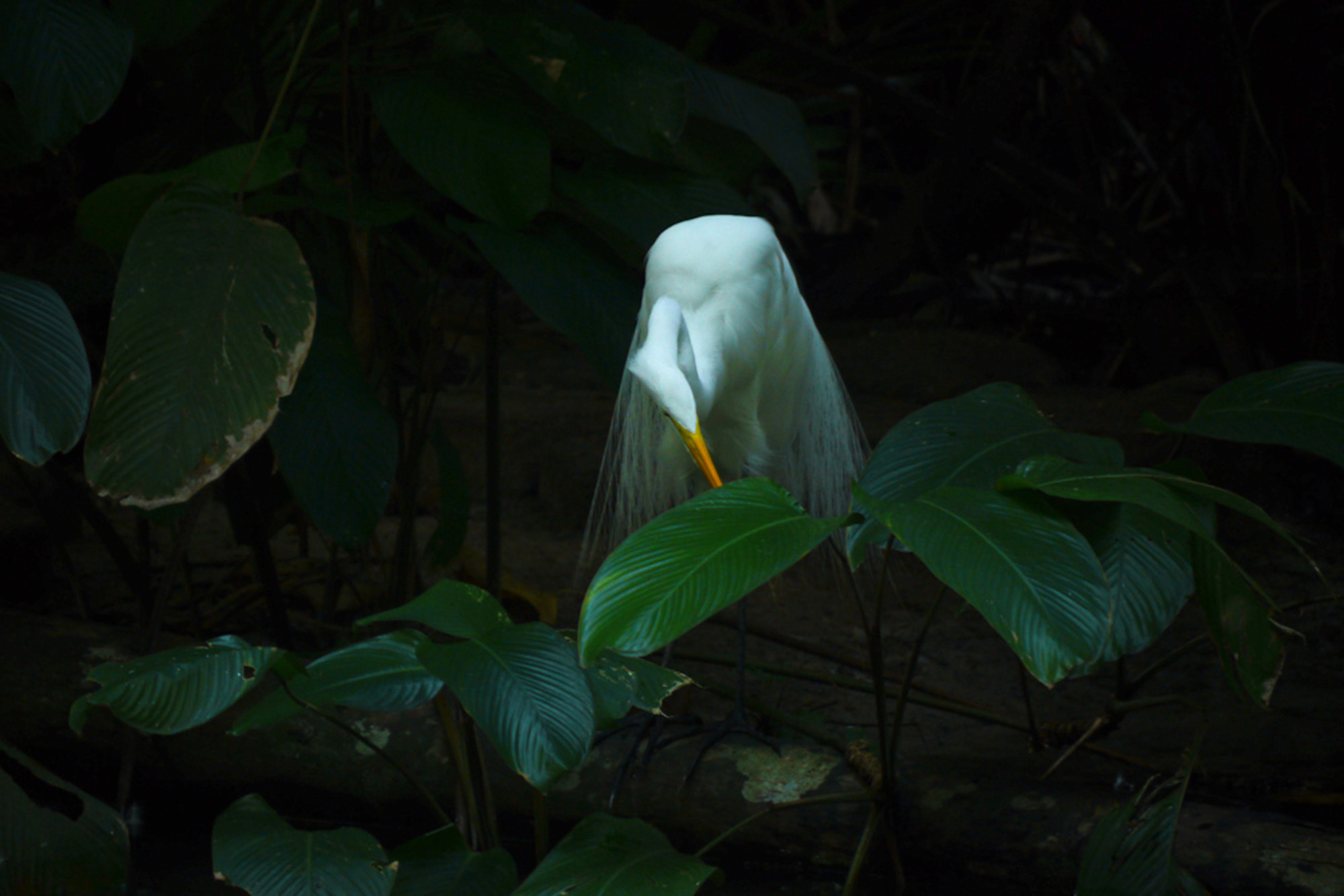 Panasonic Lumix DMC-GH2 sample photo. 8896746889.jpg photography