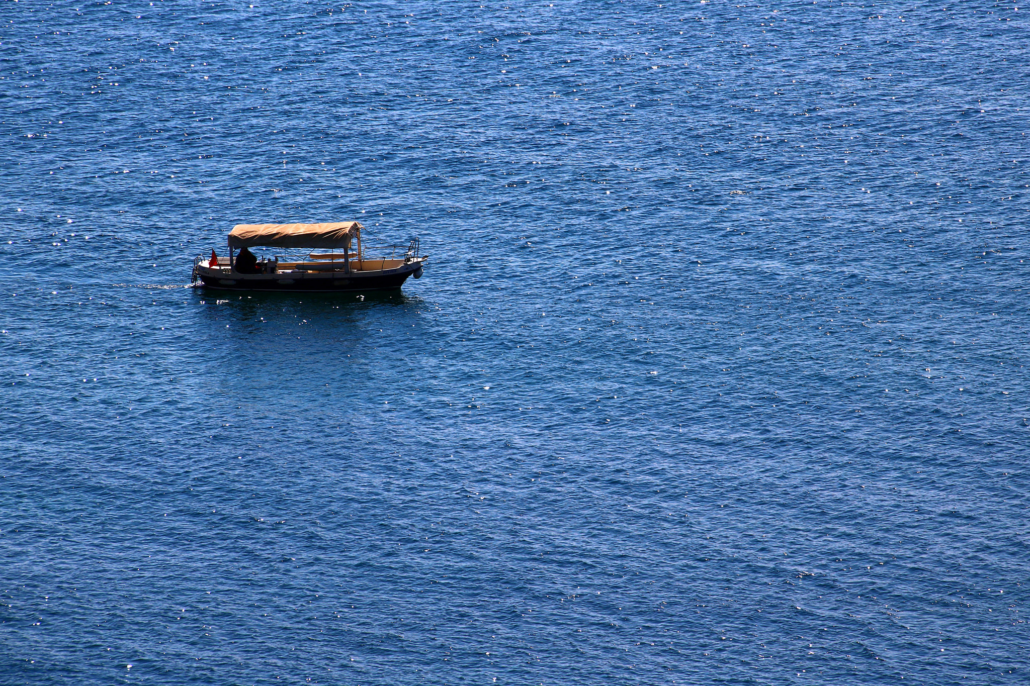Canon EOS 760D (EOS Rebel T6s / EOS 8000D) sample photo