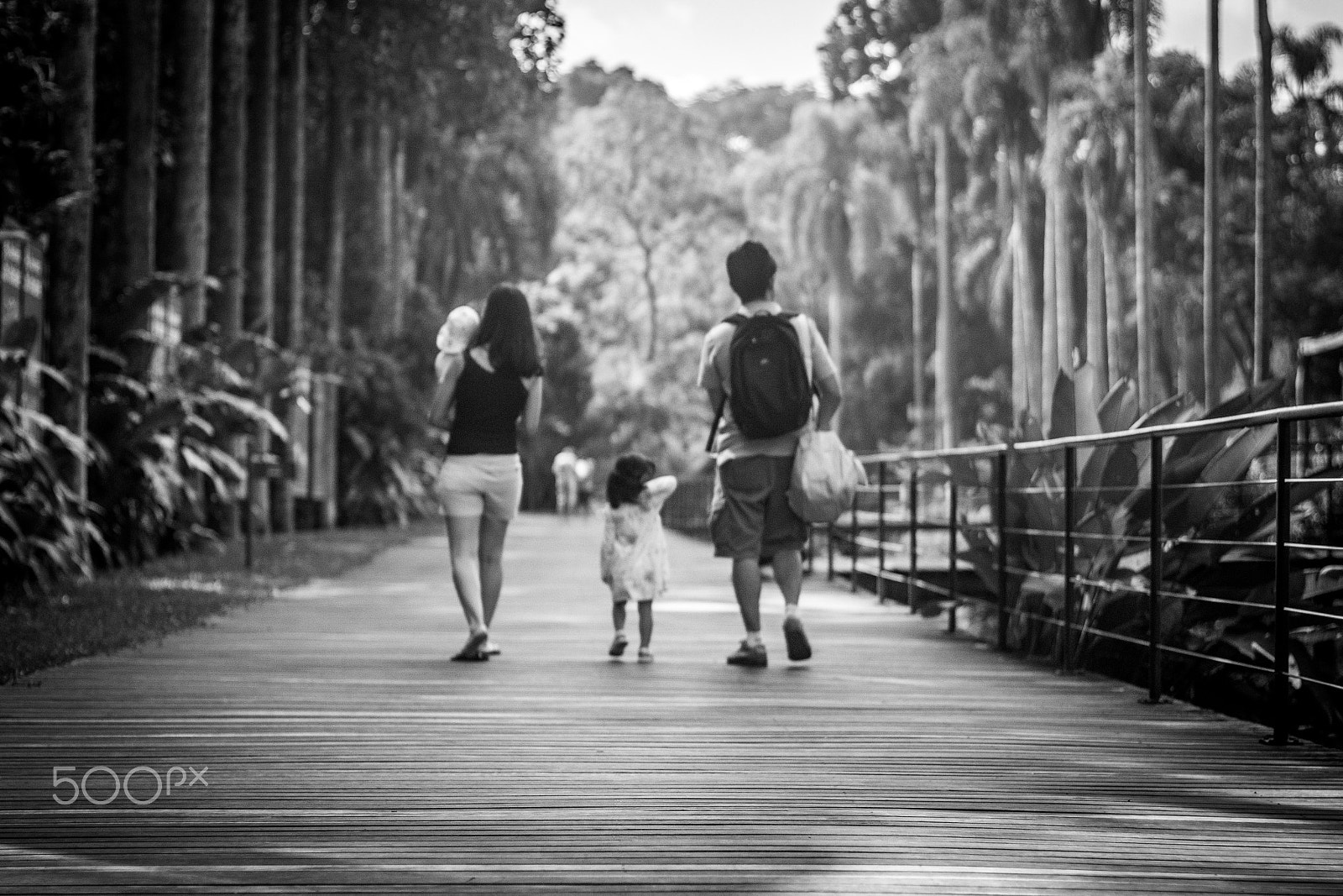 Canon EF 50mm F1.4 USM sample photo. Jardim botânico photography