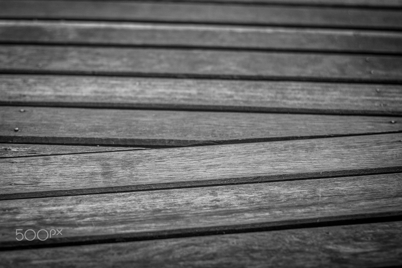 Canon EF 50mm F1.4 USM sample photo. Jardim botânico photography
