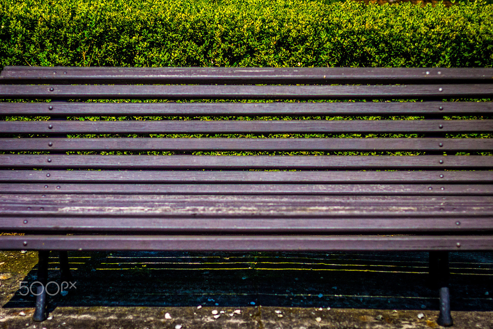 Canon EF 50mm F1.4 USM sample photo. Jardim botânico photography
