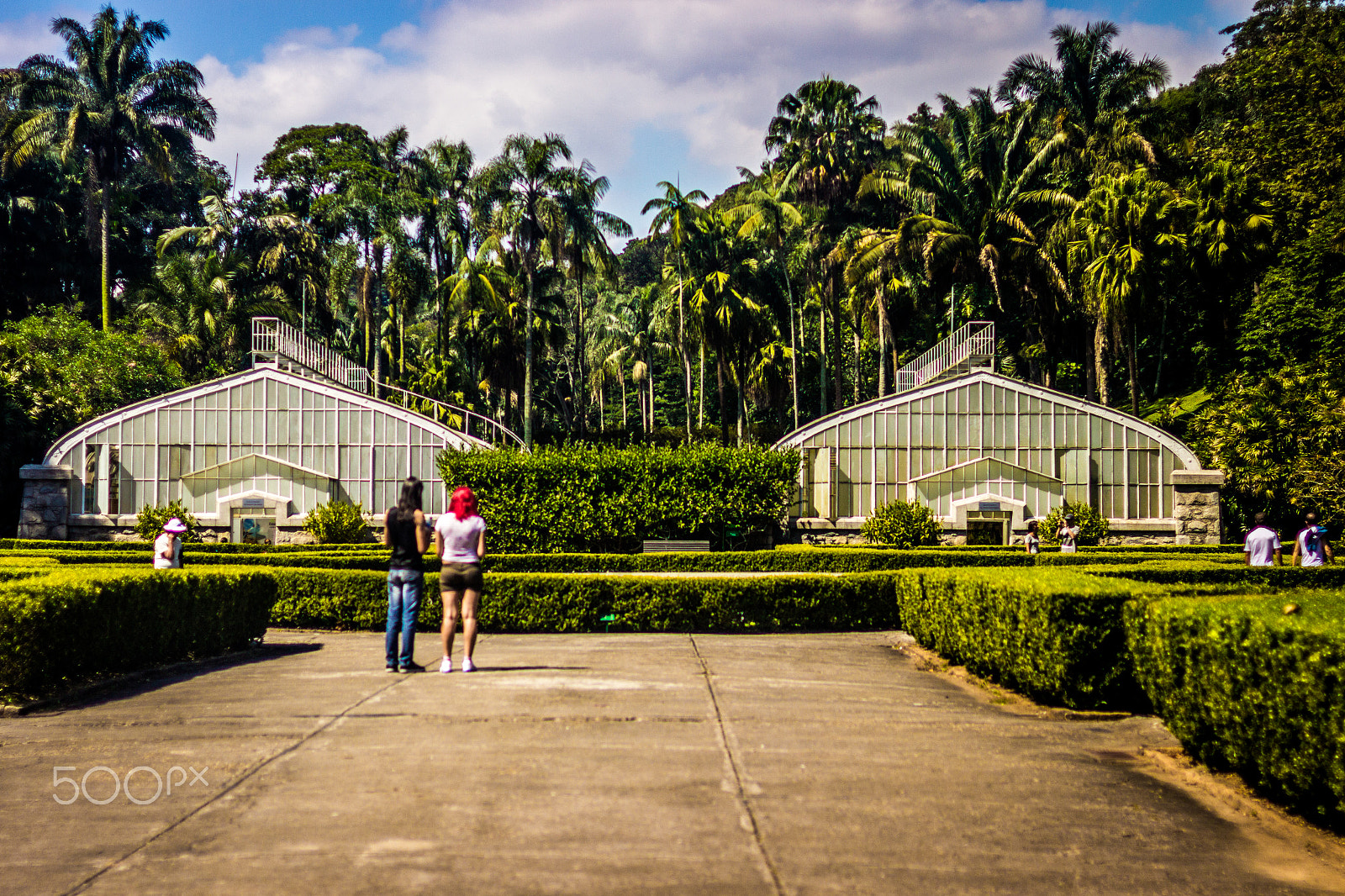 Canon EF 50mm F1.4 USM sample photo. Jardim botânico photography