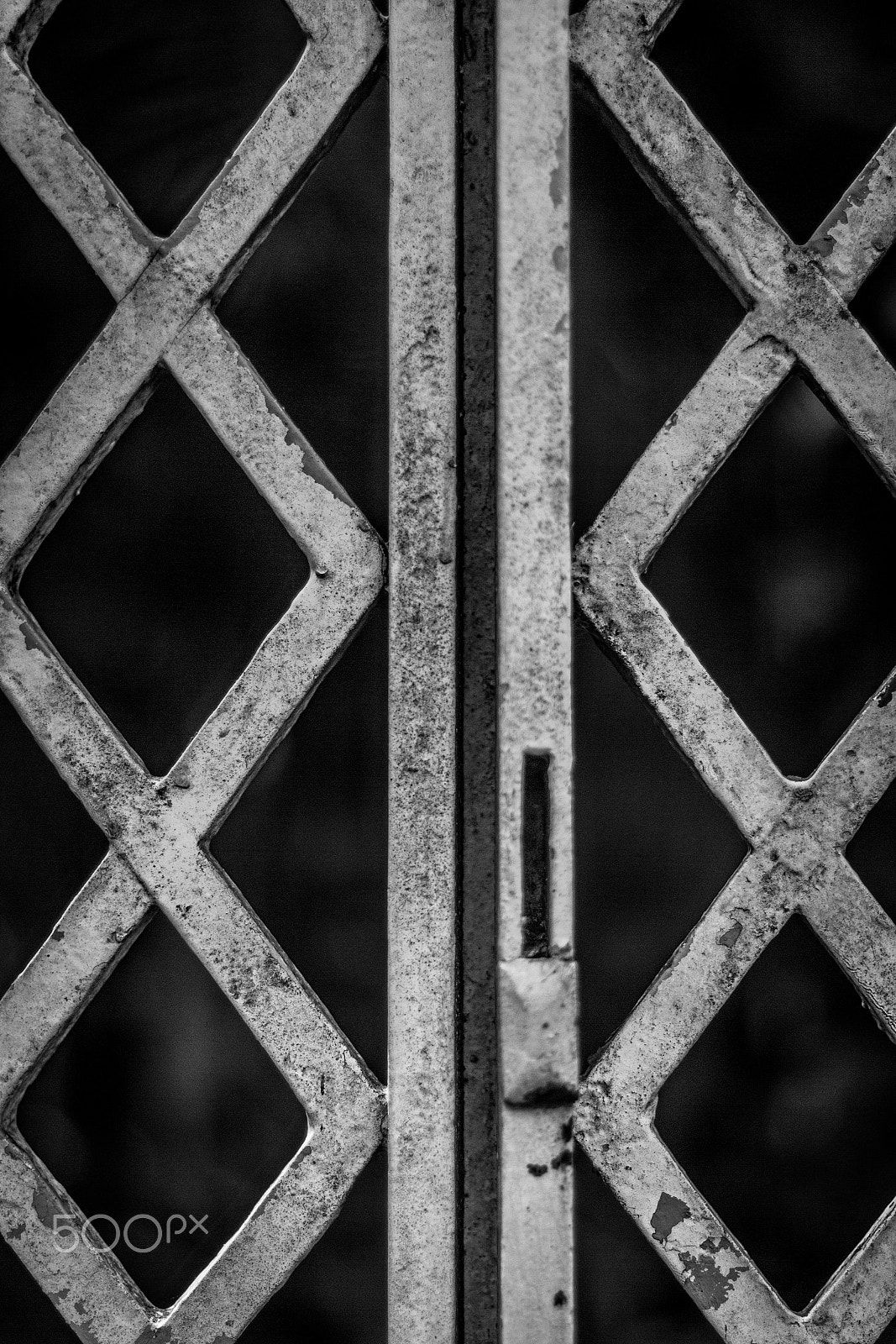 Canon EF 50mm F1.4 USM sample photo. Jardim botânico photography