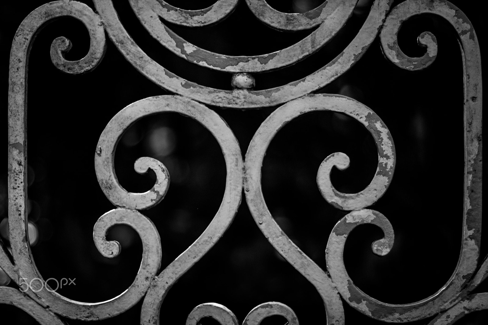 Canon EF 50mm F1.4 USM sample photo. Jardim botânico photography