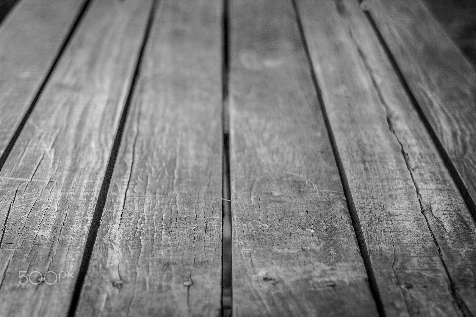 Canon EF 50mm F1.4 USM sample photo. Jardim botânico photography