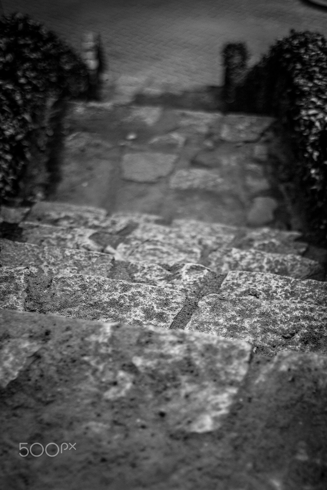 Canon EF 50mm F1.4 USM sample photo. Jardim botânico photography